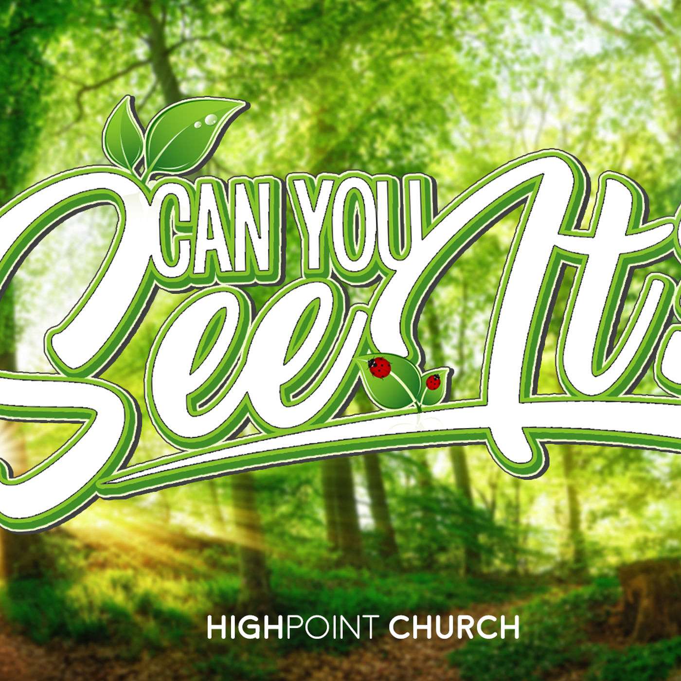 Can you see it? - Pastor Amy Gustafson