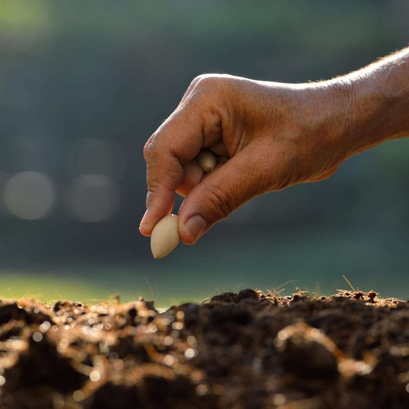 Episode 1768 - Planting a.....n idea!