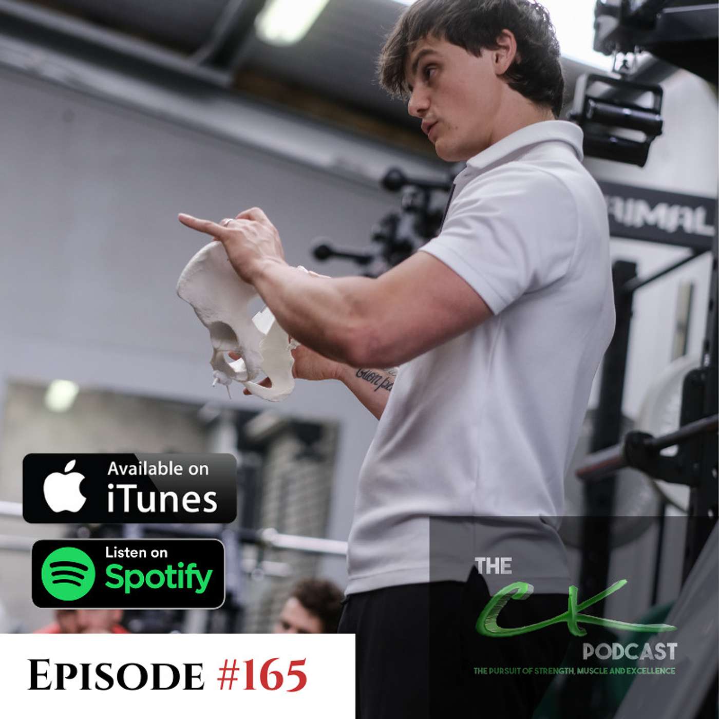 The Hip Flexor Episode
