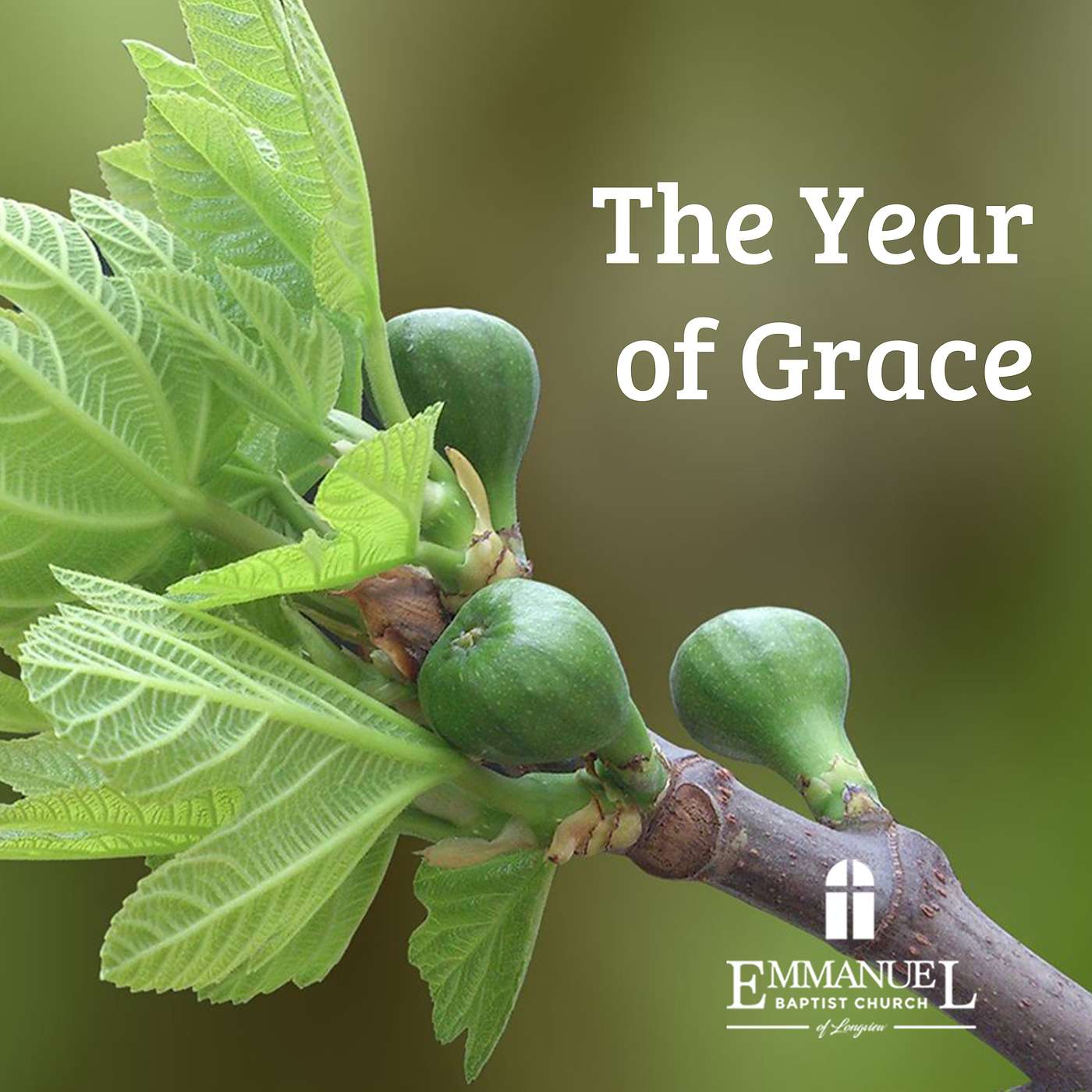 The Year of Grace - Sun PM 8-23-20 - Pastor Bob Gray II