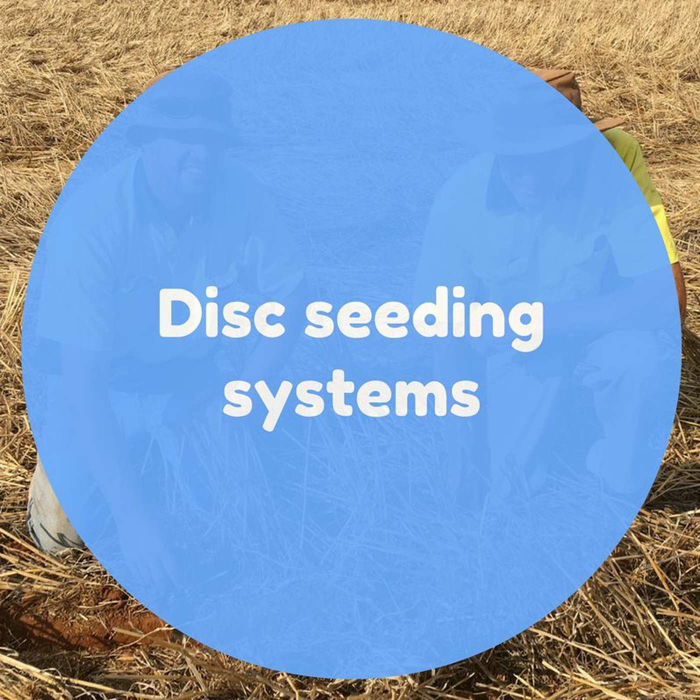 Disc seeding systems