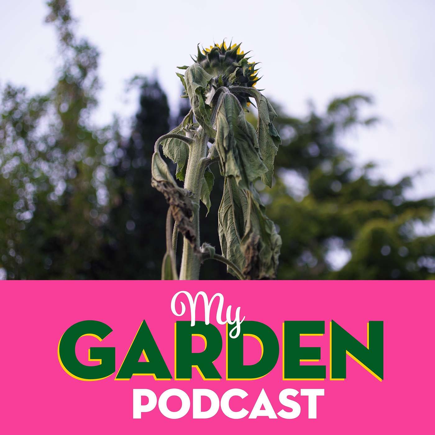 My Garden Podcast - Gardening Podcast
