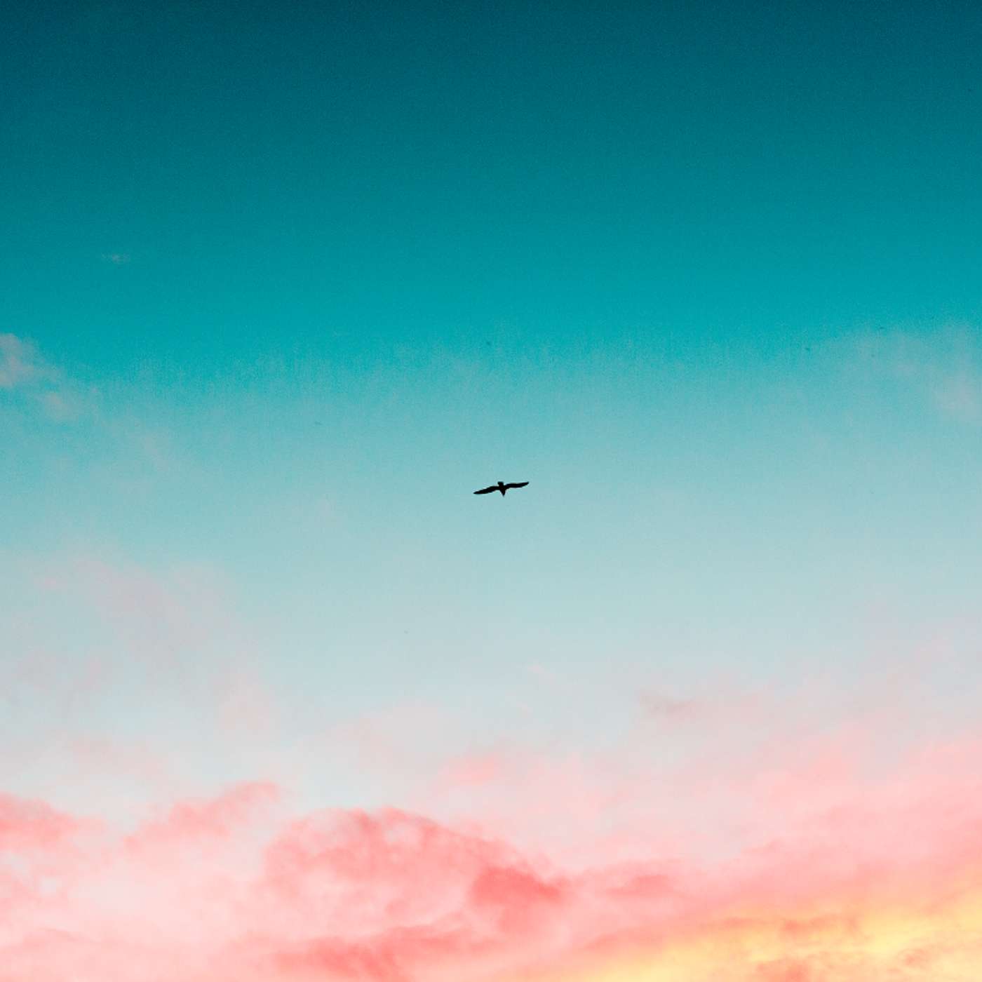Finding Freedom in Limitlessness: The Buddhist Parable of Fudo