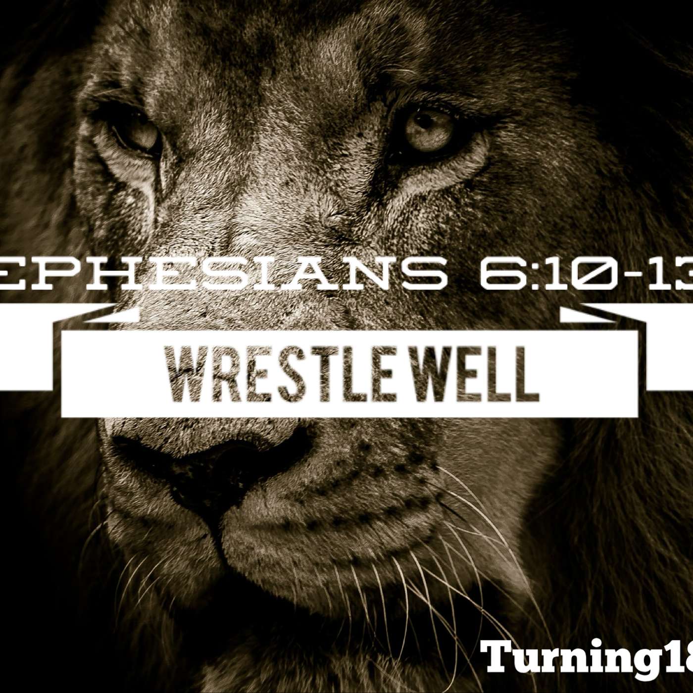 Wrestle Well - NL
