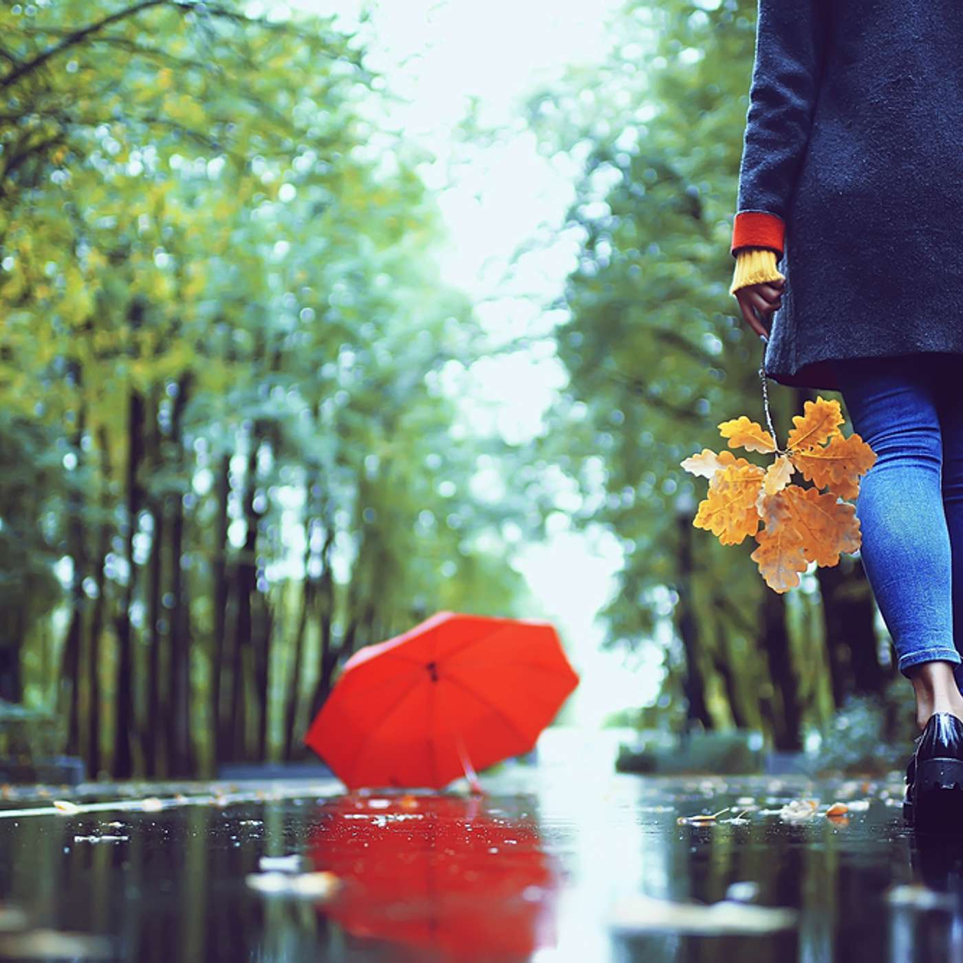 The Power Of Forgiveness