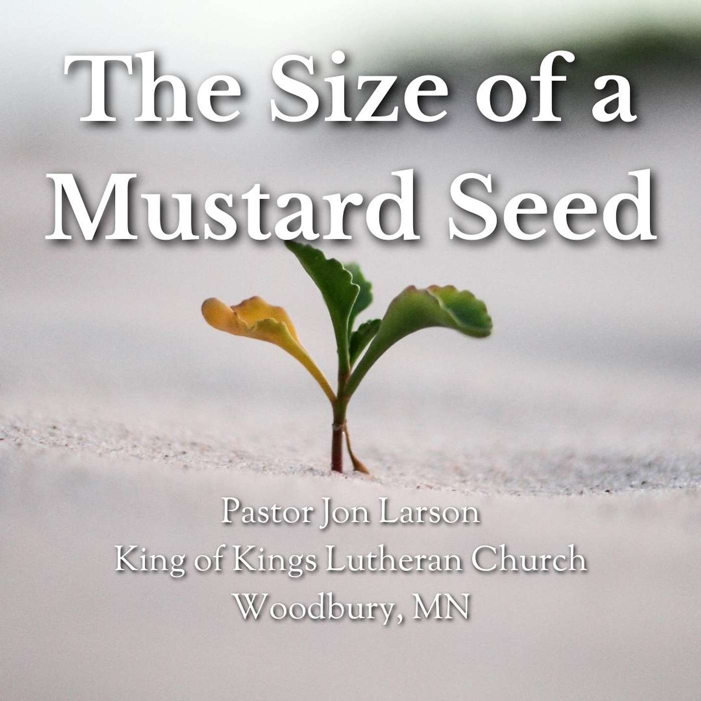 The Size of a Mustard Seed // Pastor Jon Larson episode artwork