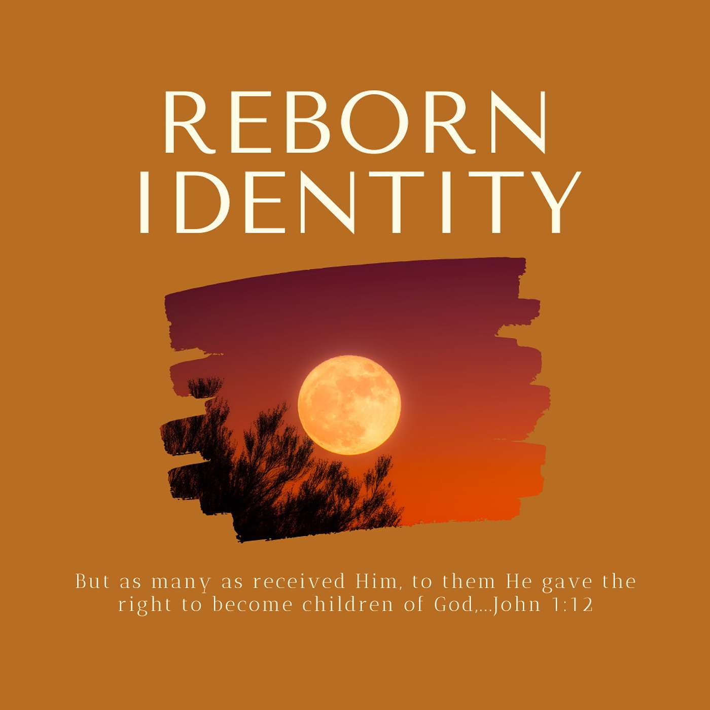 Reborn Identity - Part 1