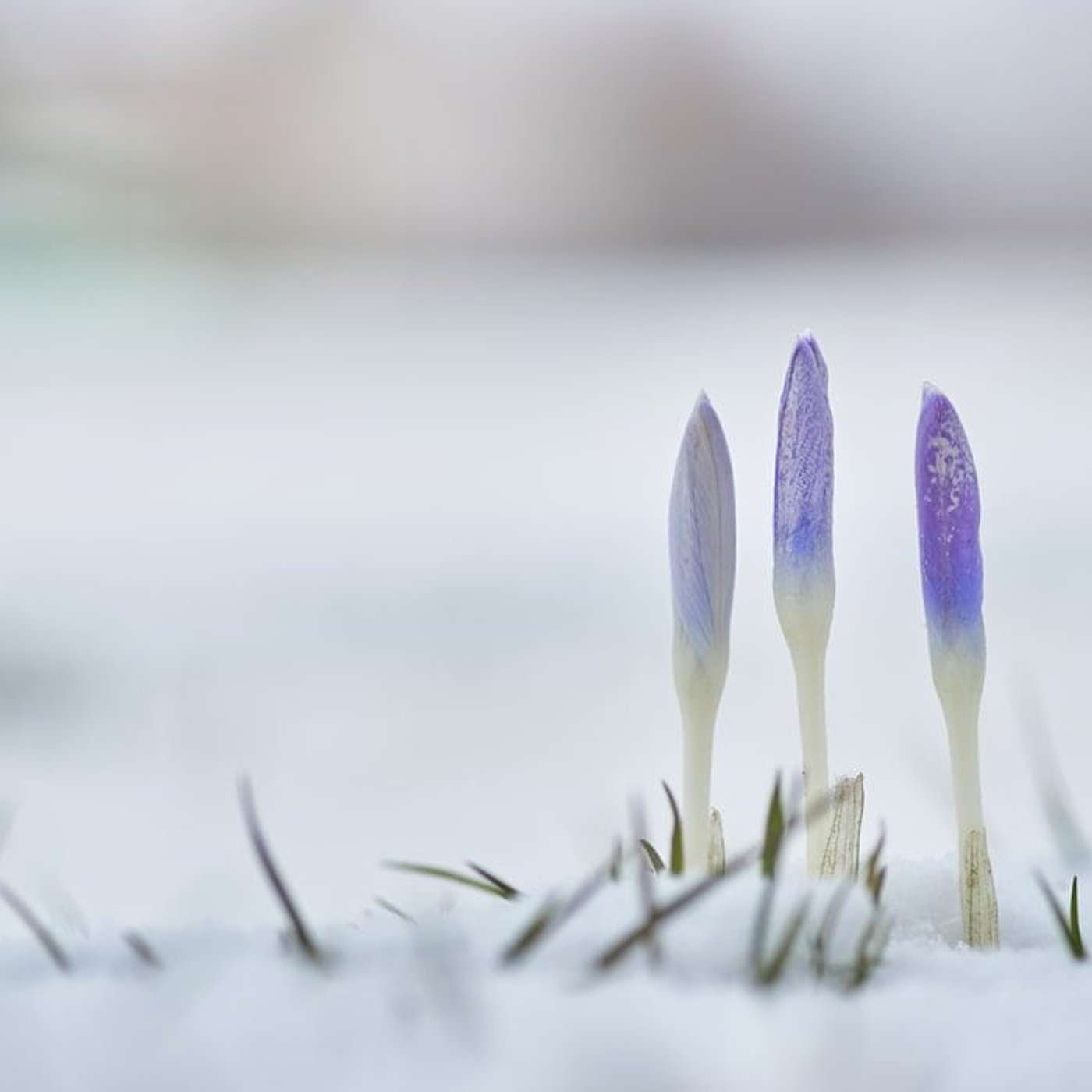 Sunday Service Podcast February 23rd – God Is