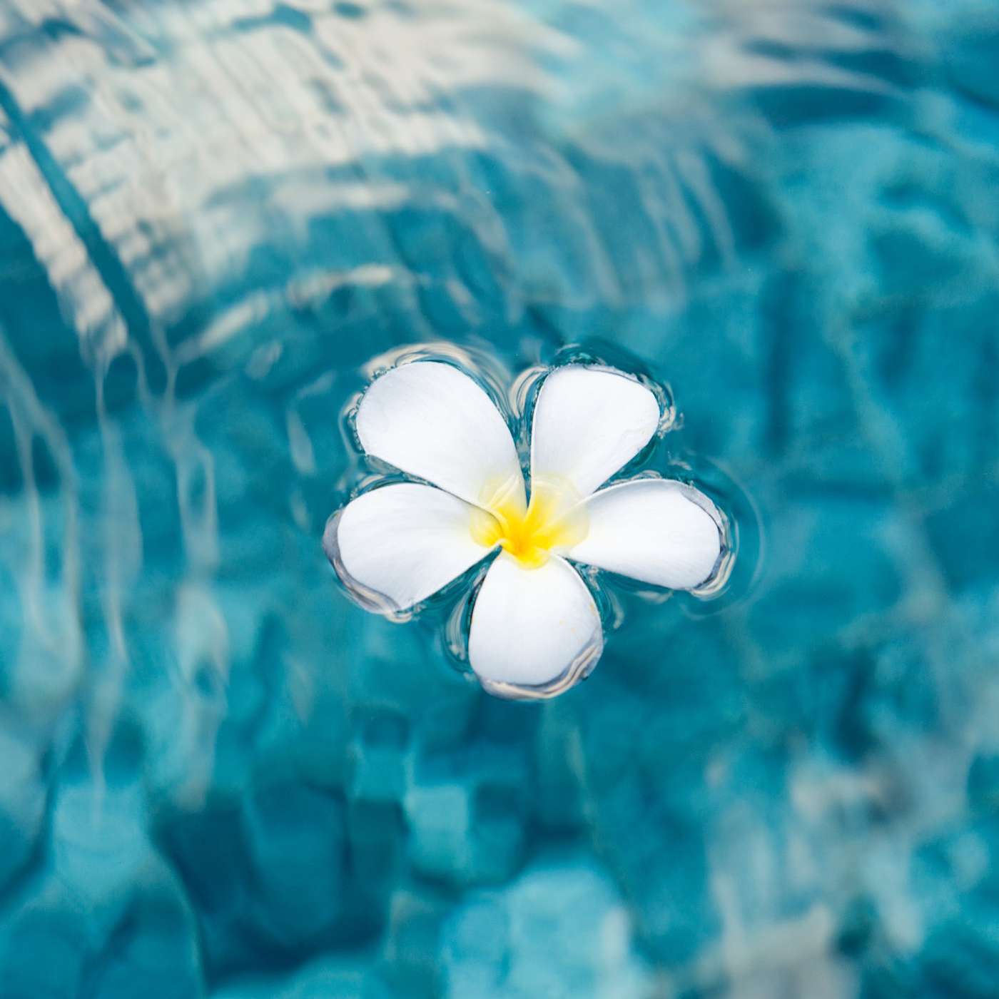 Embracing Release and Renewal Through Meditative Breathwork and Affirmations