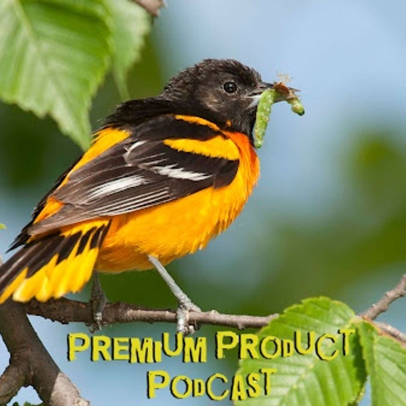 What it do? What it do?