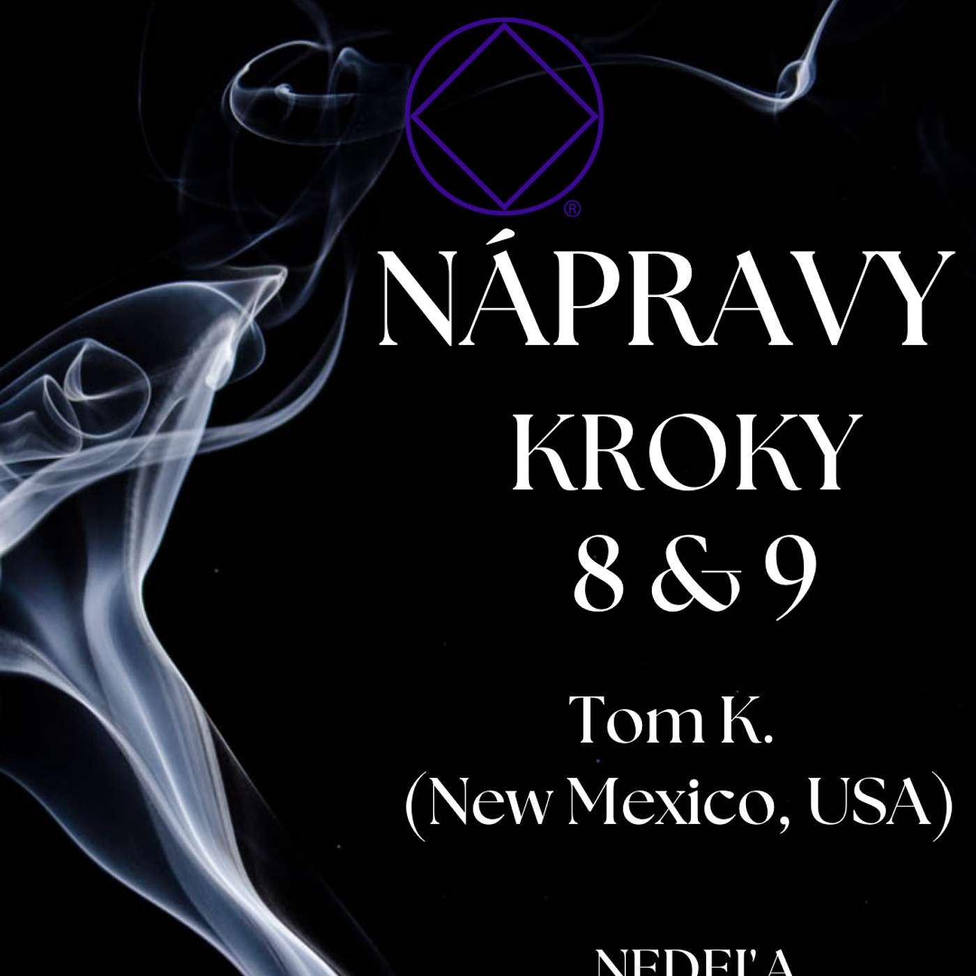 Tom K. (New Mexico, USA) Nápravy Kroky 8 a 9 episode artwork