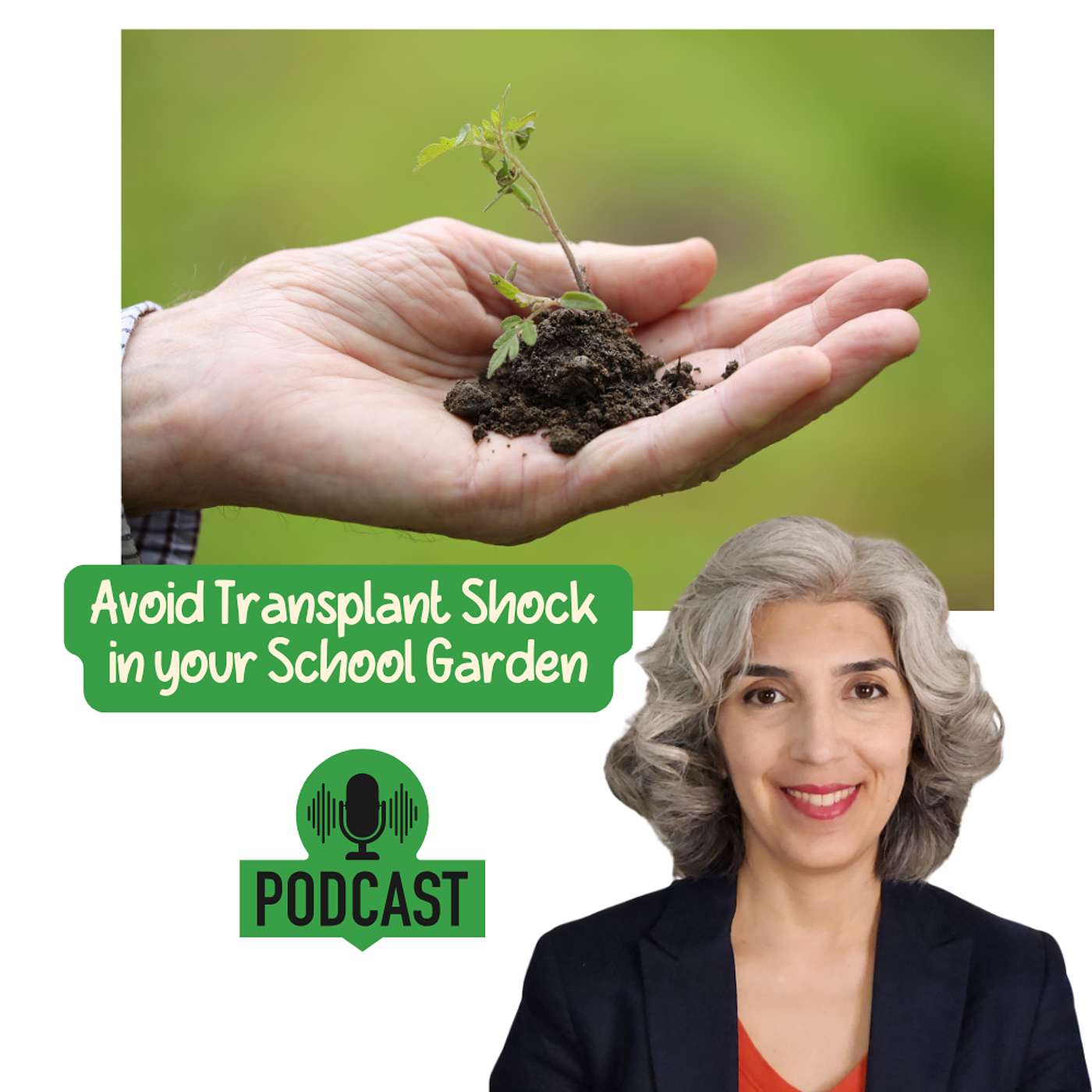 School Gardens with Ease