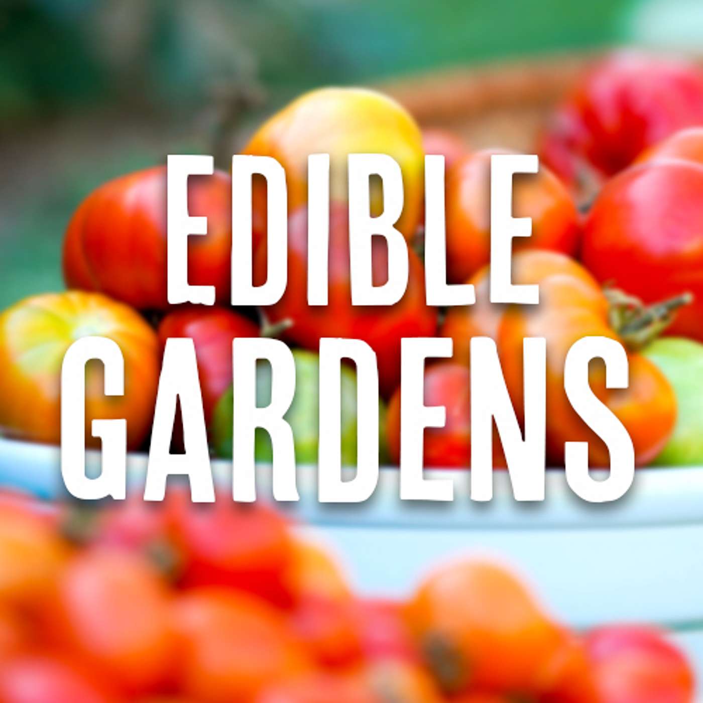 Edible Gardens: What are they? How to get started? 