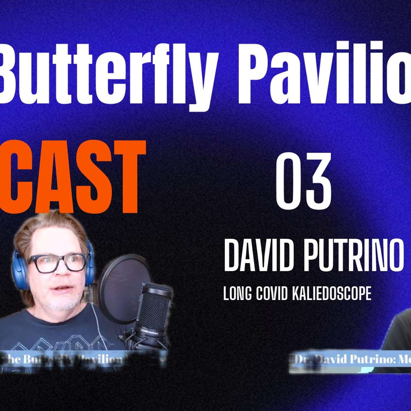 The Long Covid Kaleidoscope: A Conversation With David Putrino episode artwork