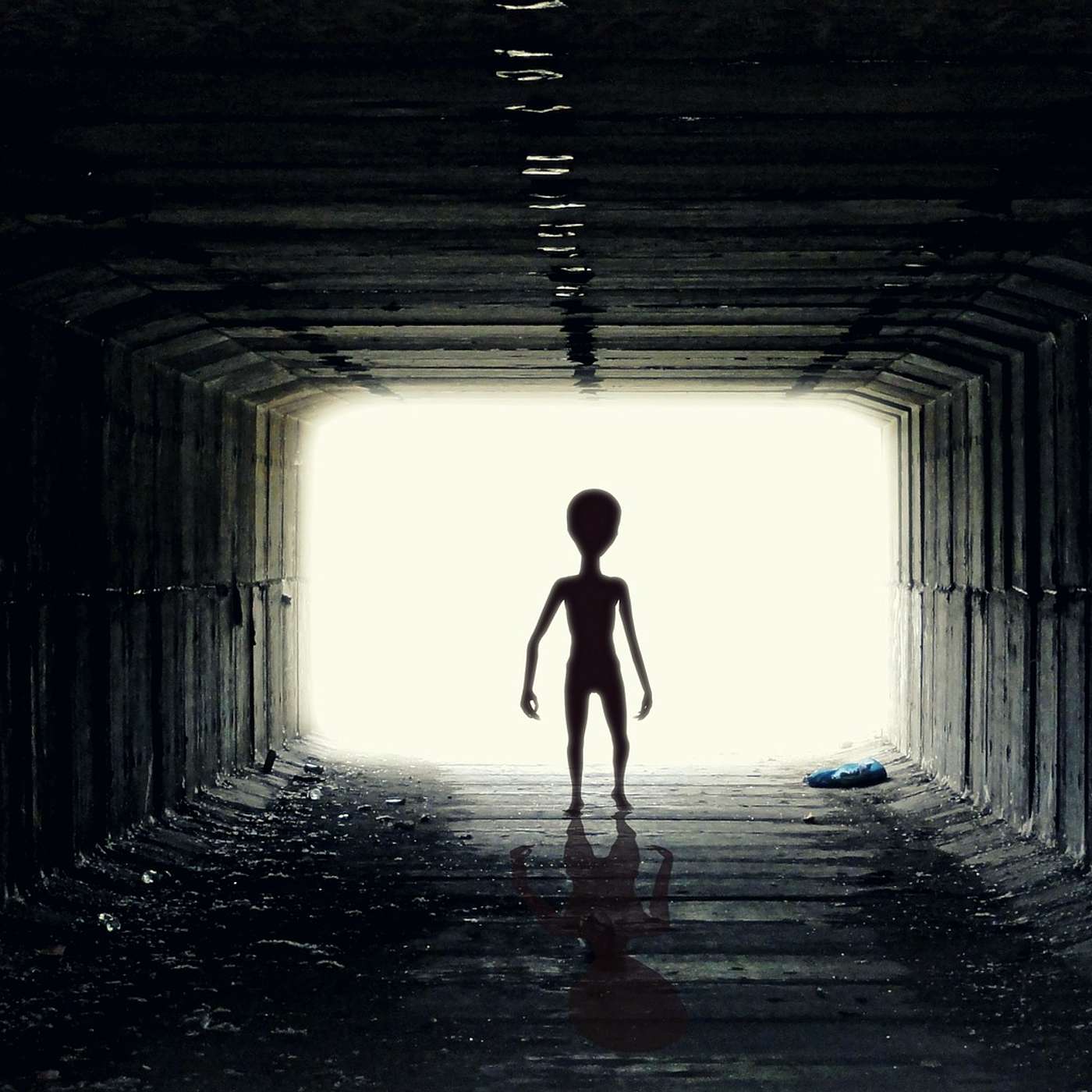 Podívejte se na trhy, jako kdybyste právě přiletěli z Marsu. Než se tedy stihne změnit globální řád episode artwork