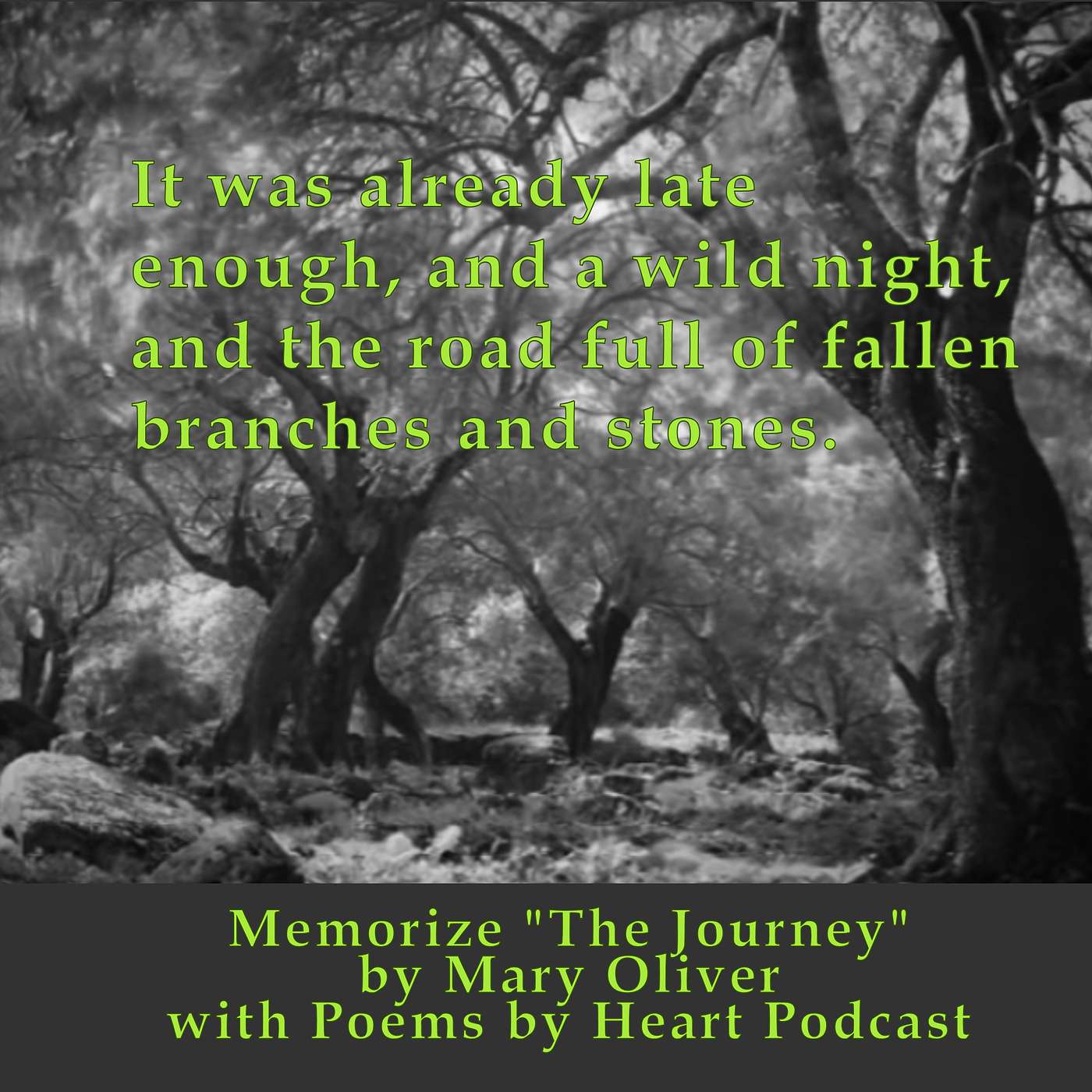 E16 The Journey by Mary Oliver