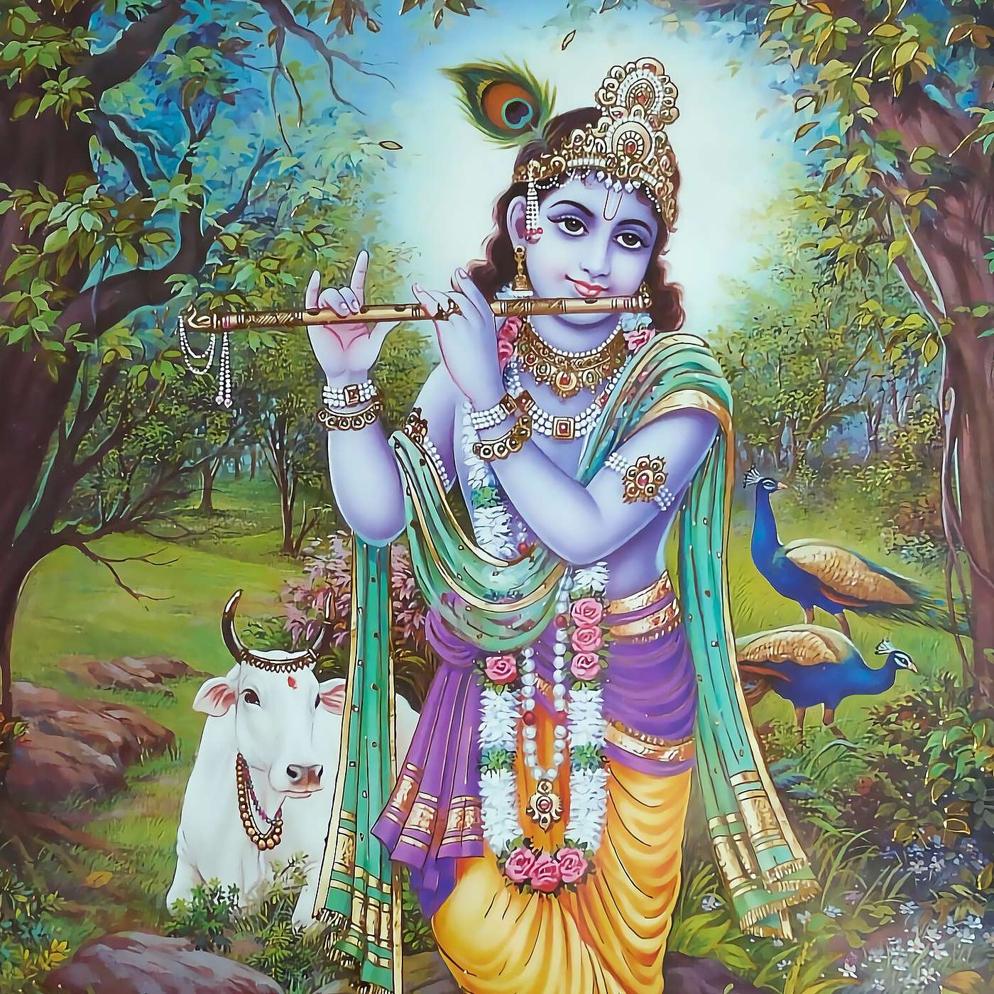 Kerry Shamblin Vedic Astrology