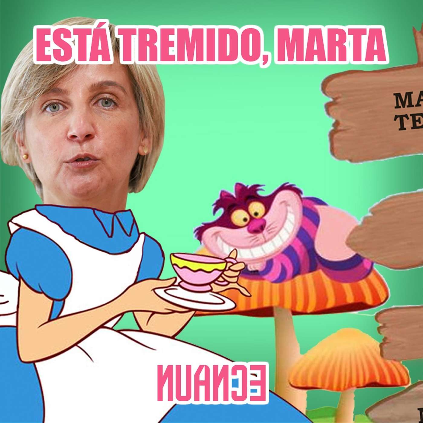nuance2