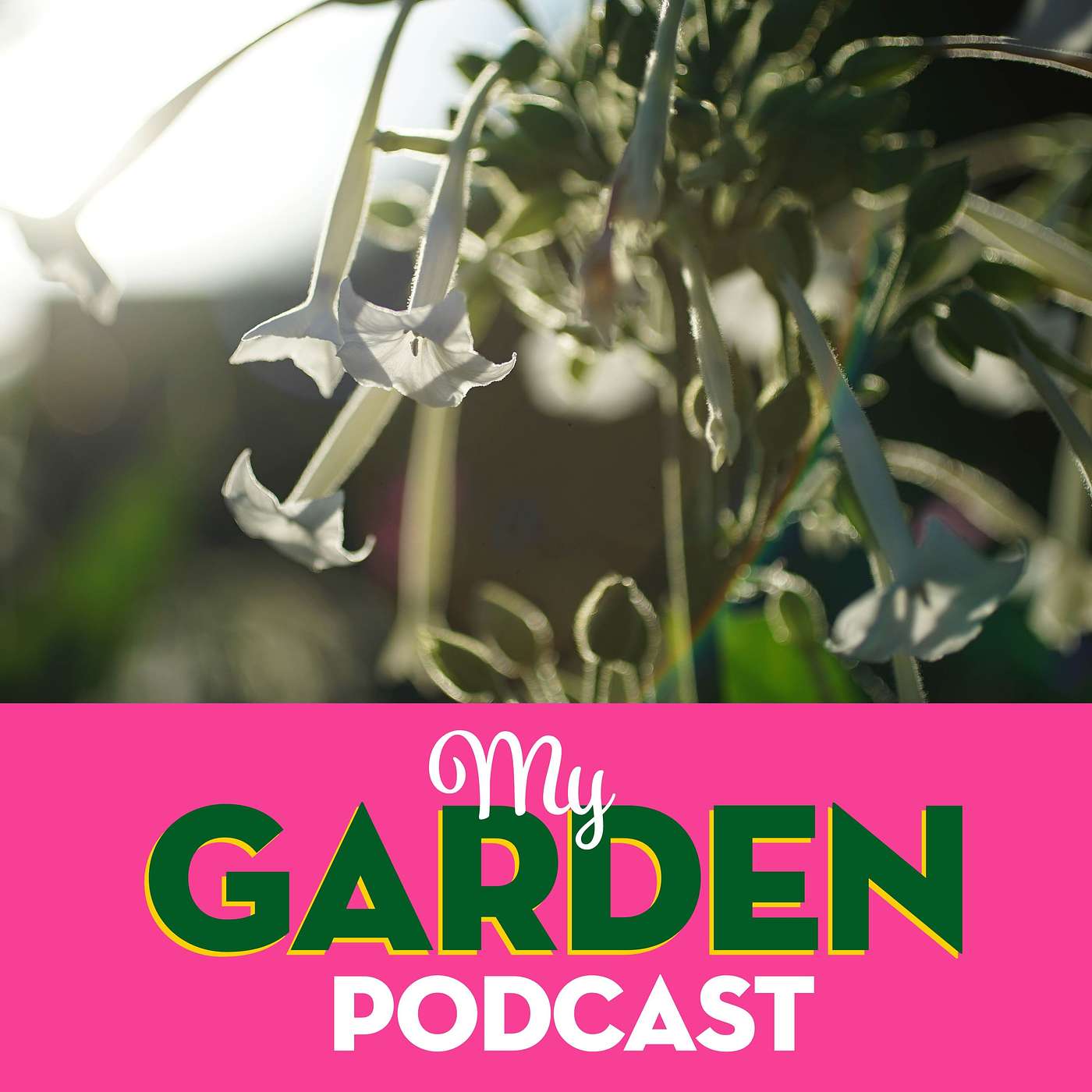 My Garden Podcast - Gardening Podcast
