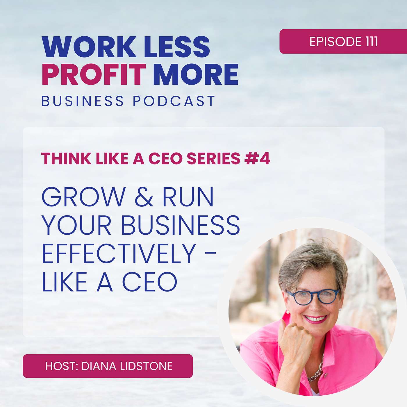Work Less PROFIT More Business Podcast