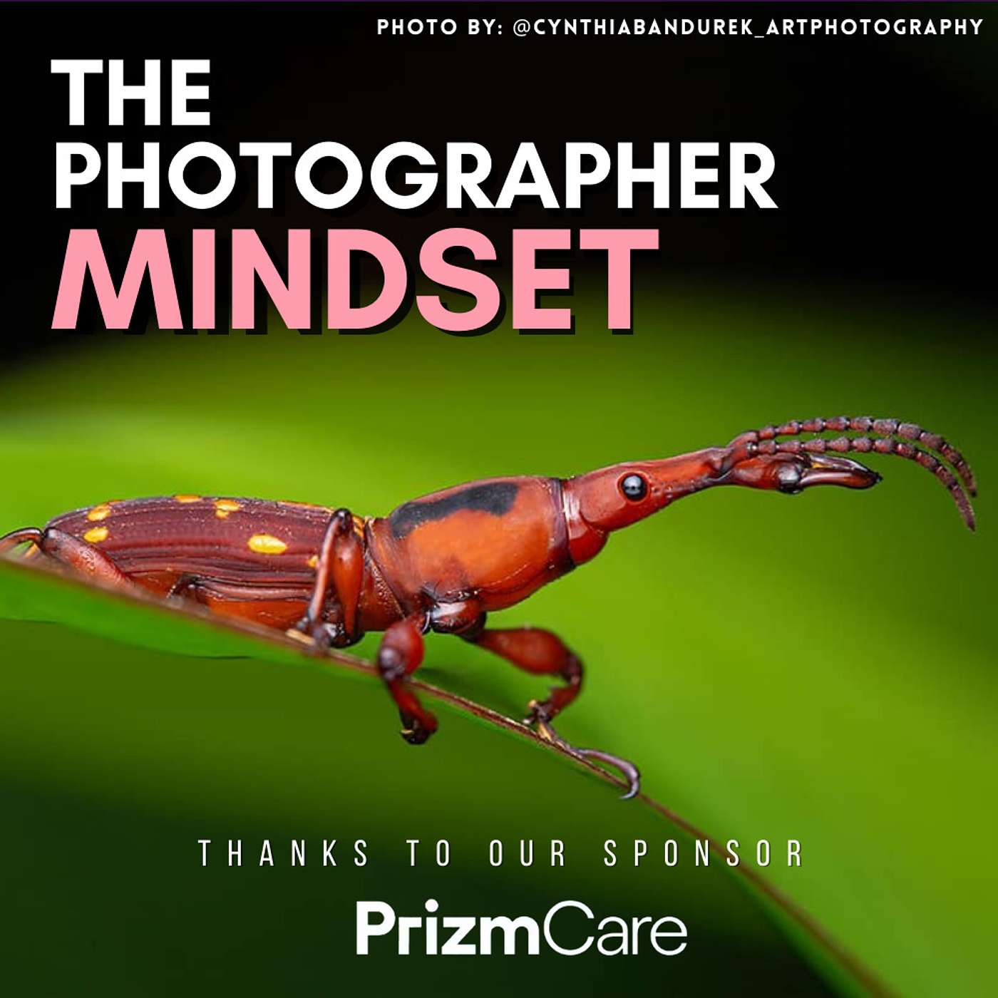The Photographer Mindset