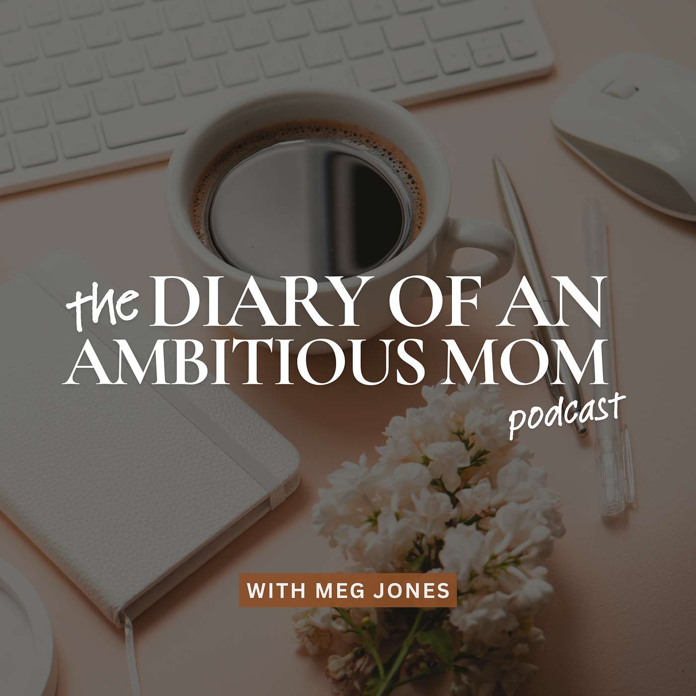 Diary of an Ambitious Mom