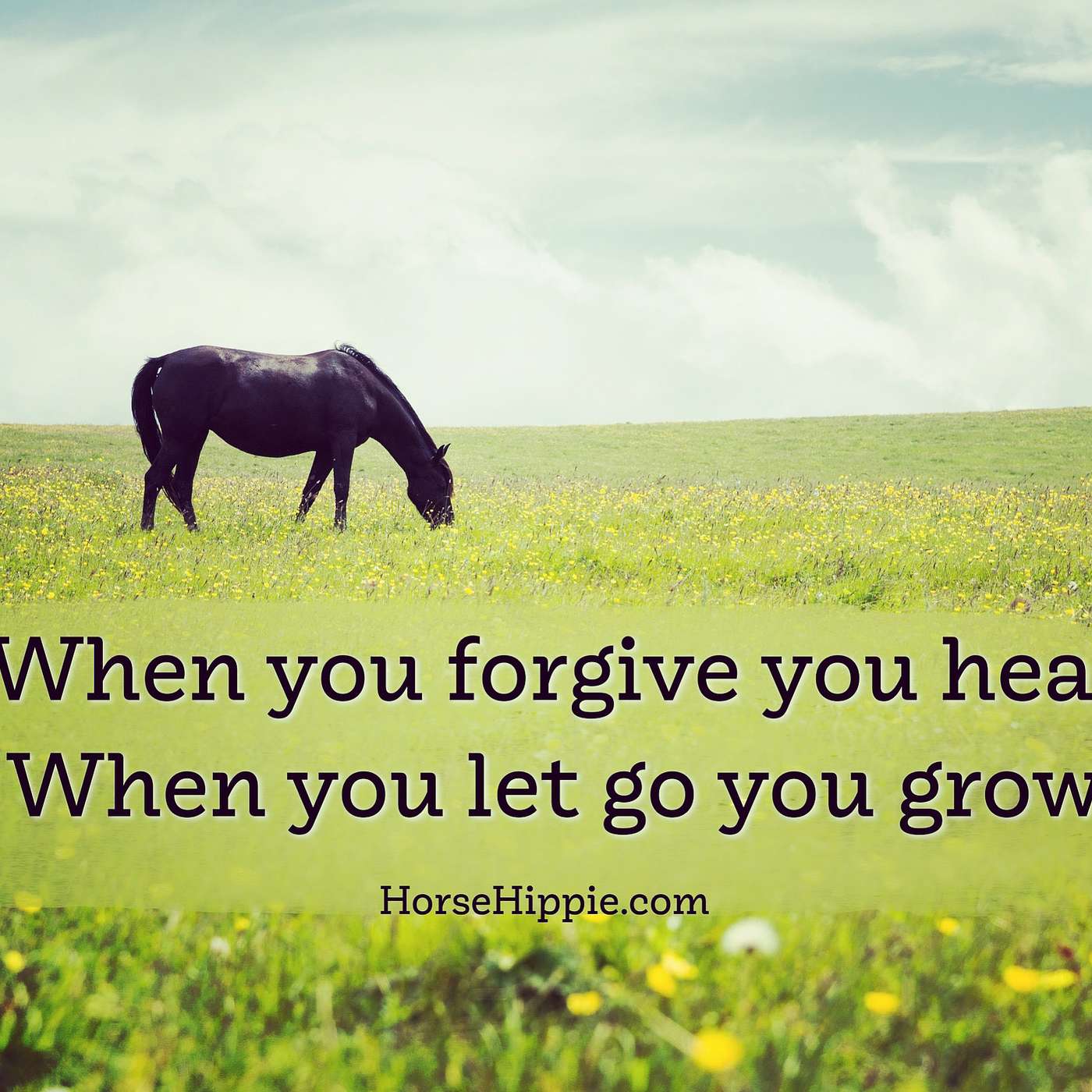Forgive and Heal episode artwork