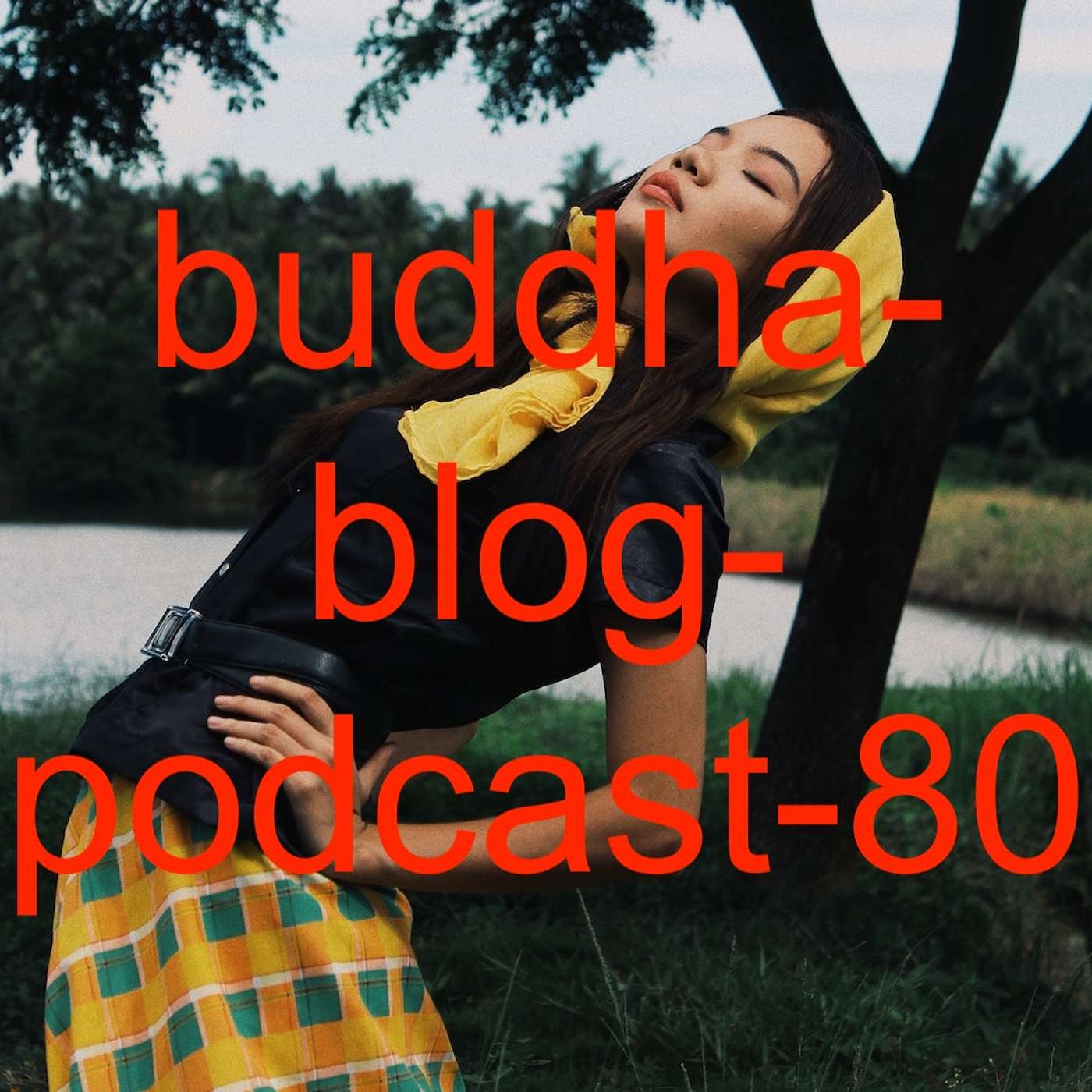 Buddha Blog - Buddhismus im Alltag