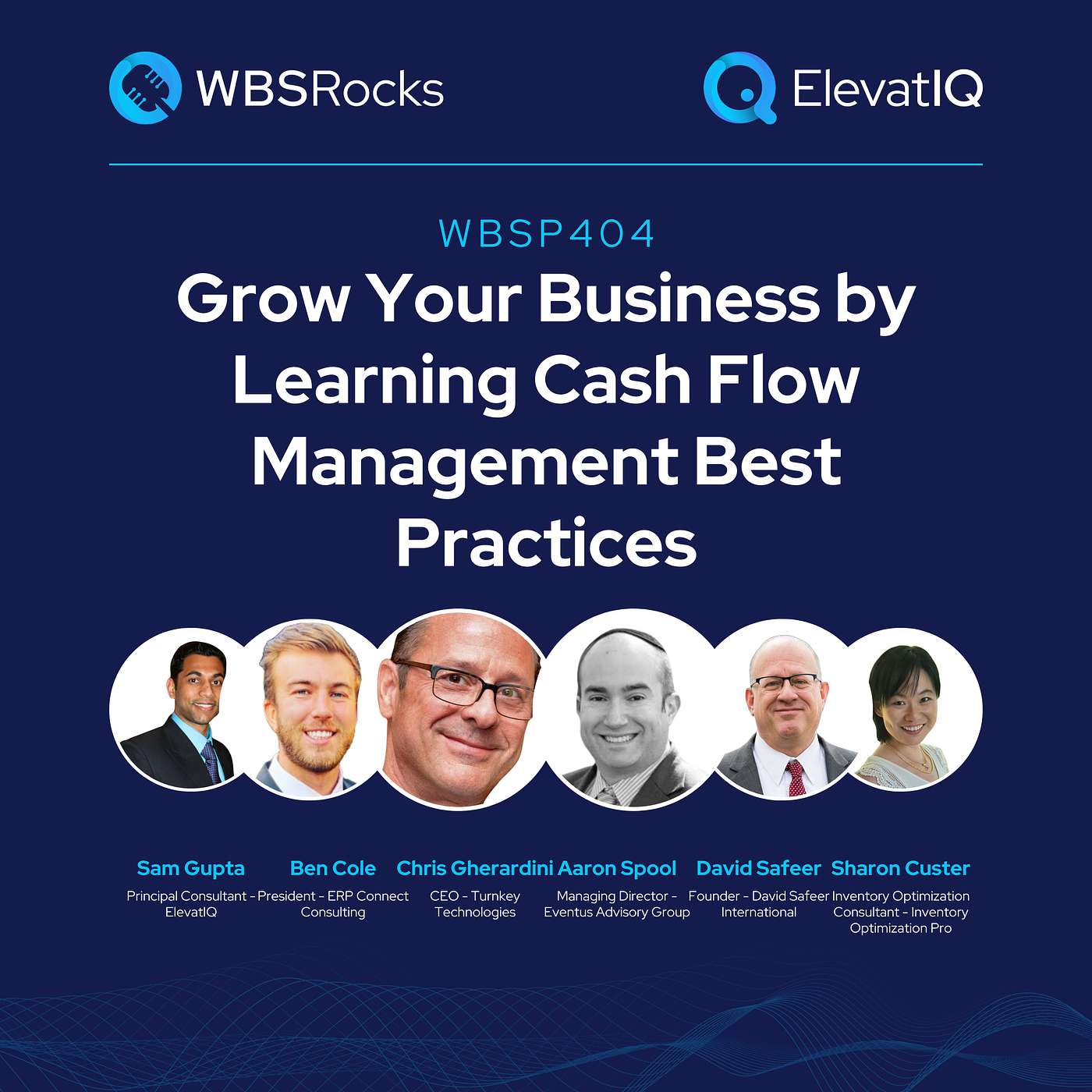 WBSP404: Grow Your Business by Learning Cash Flow Management Best Practices, a Live Interview w/ a Panel of Experts