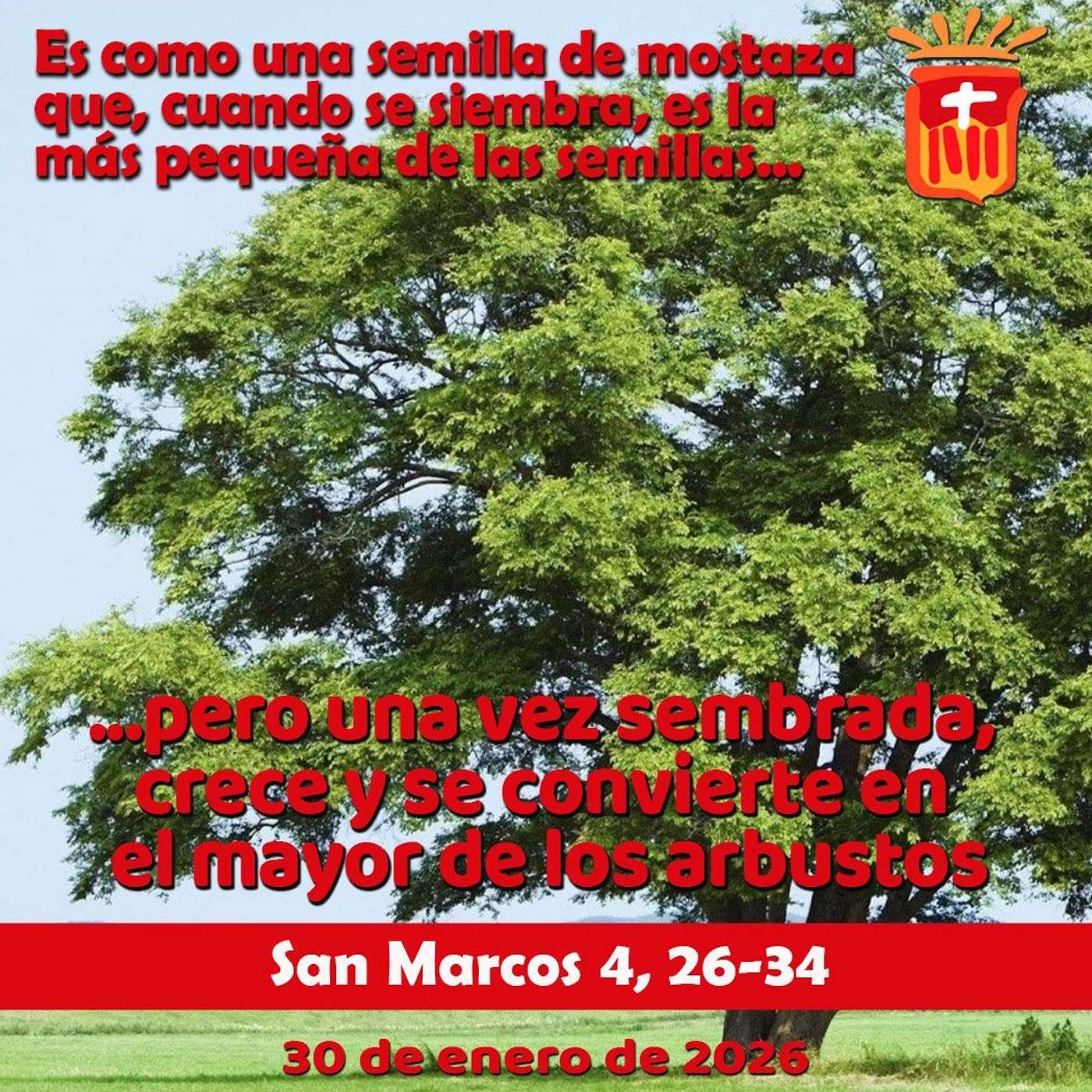 2026-01-30 San Marcos 4, 26-34: Viernes III Ordinario