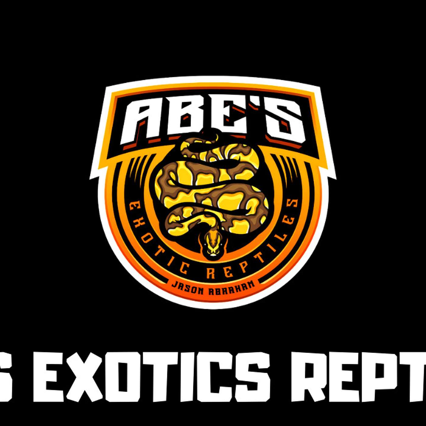 #136 JASON ABRAHAM OF ABE'S EXOTIC REPTILES | BALL PYTHONS | TROJAN GENE | TRAP TALK WITH MJ