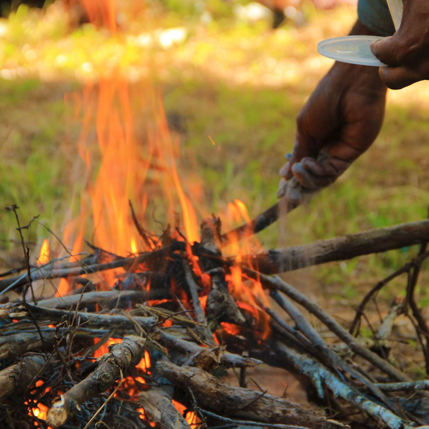 3Worlds - The Shamanism Podcast