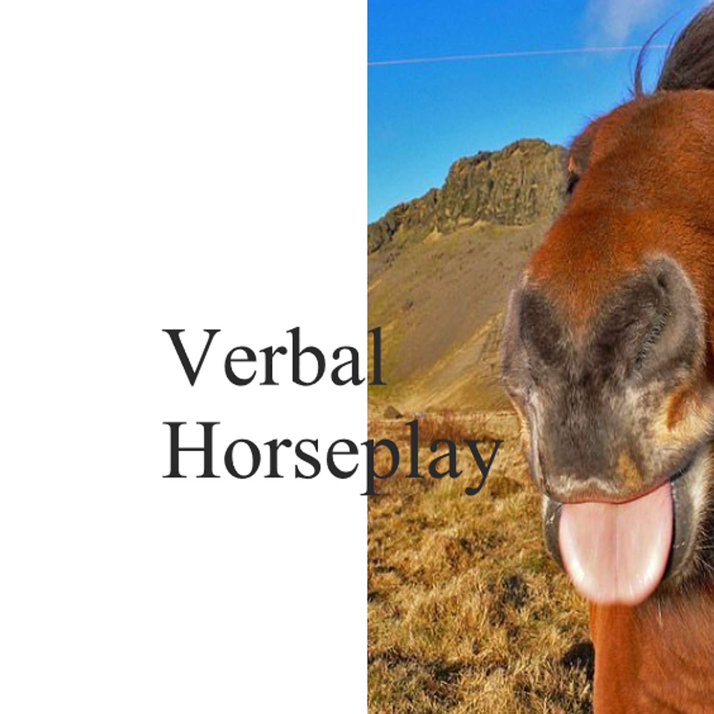 Verbal Horseplay