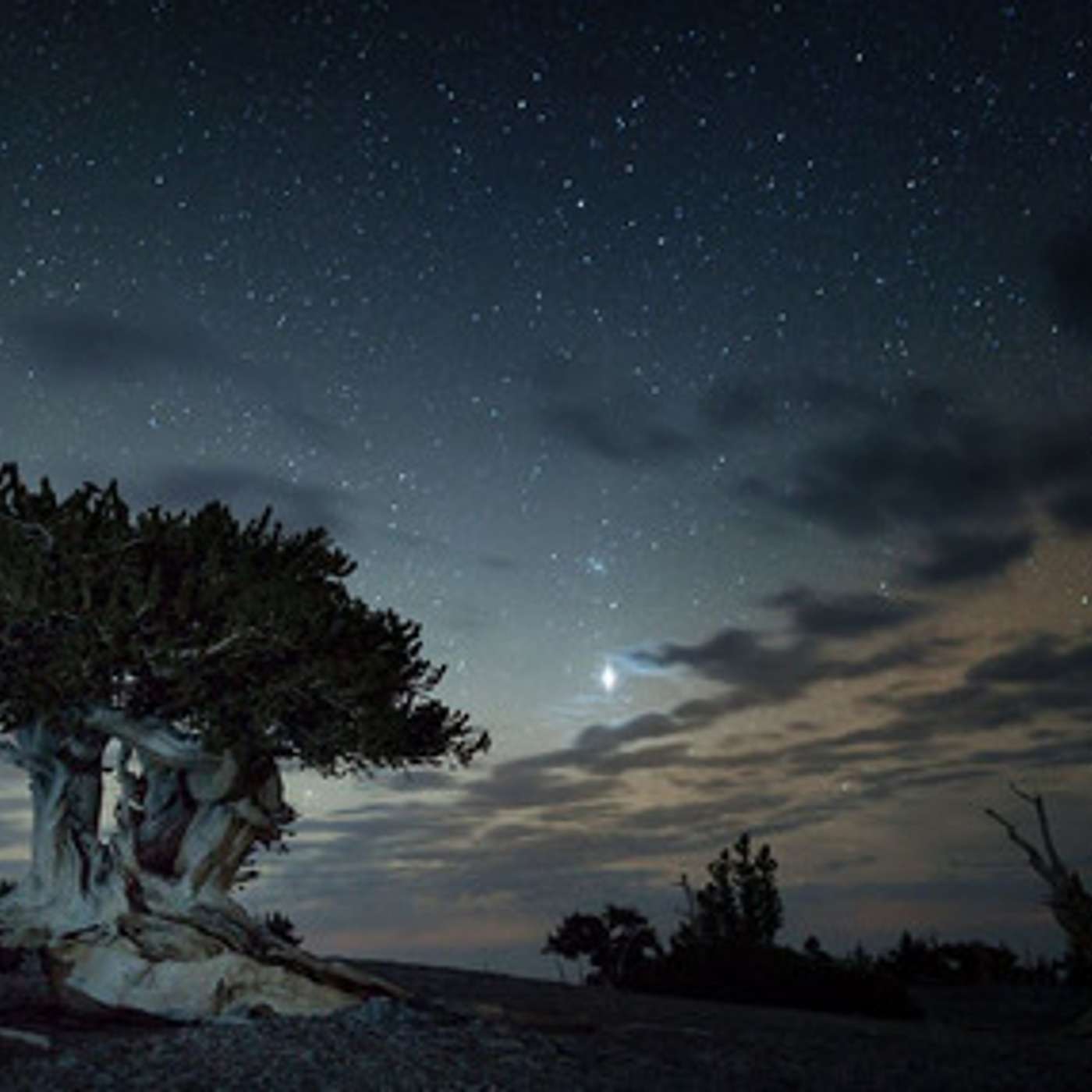 Moral Bankruptcy Threatens to Destroy National Parks