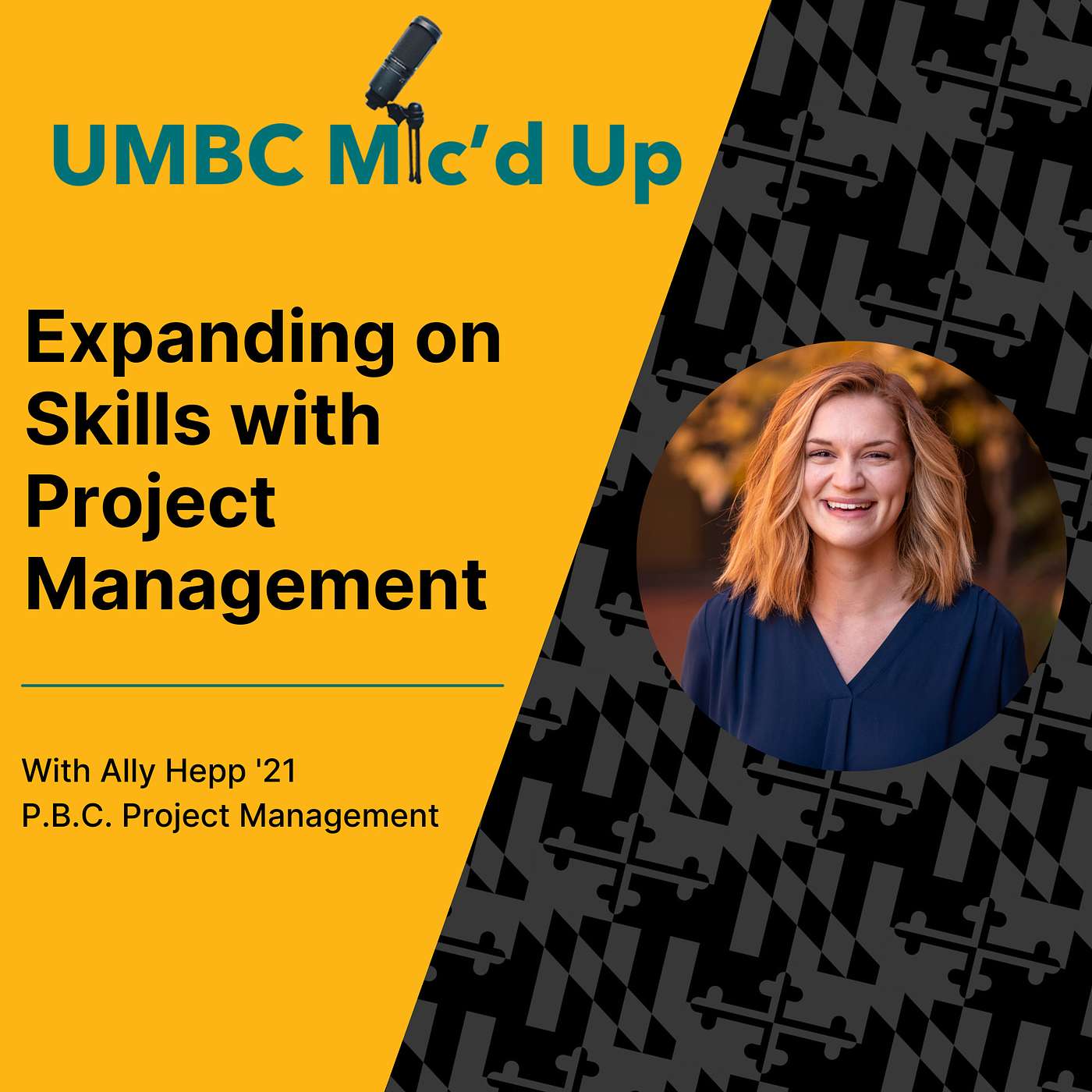 Expanding on Skills with Project Management episode artwork
