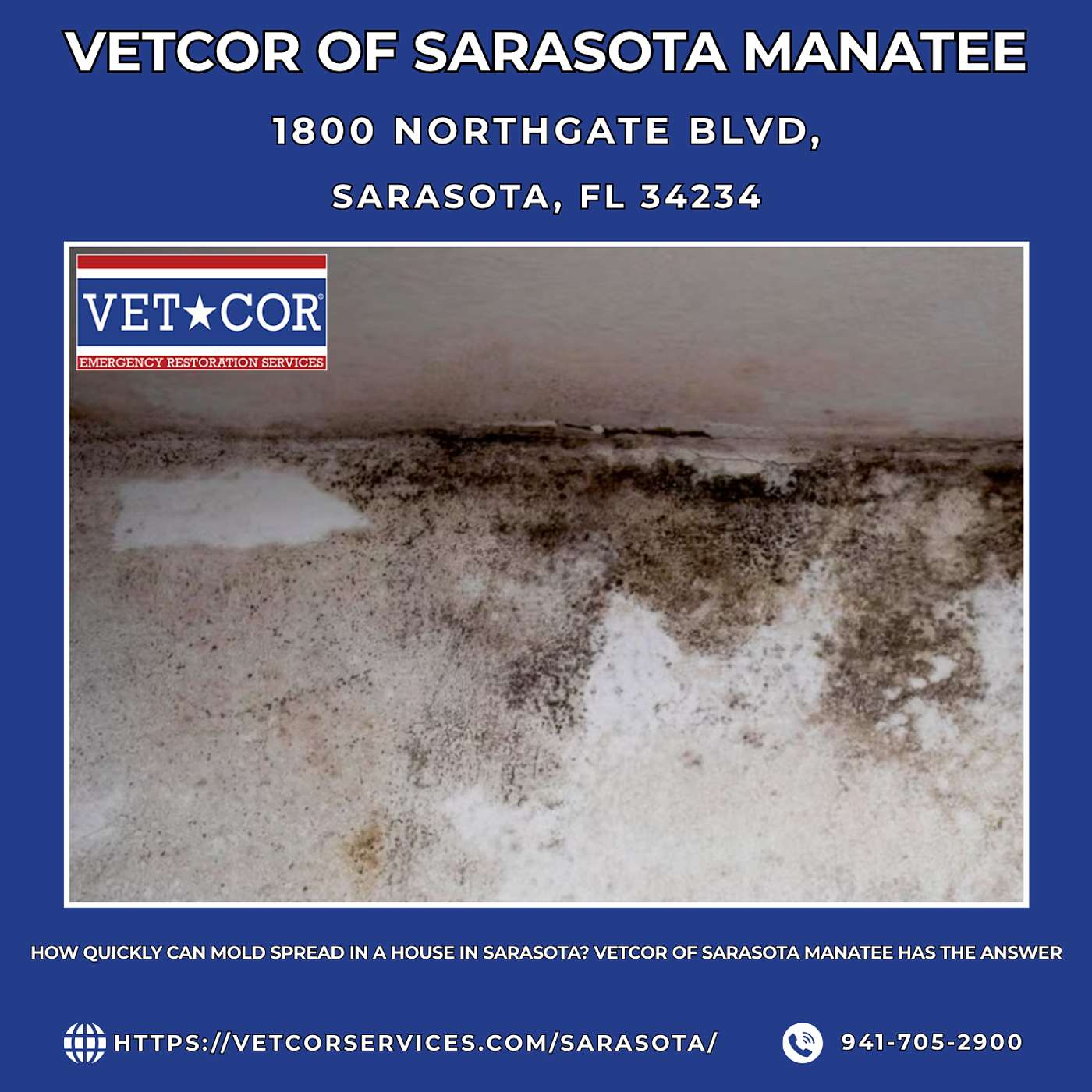 How Quickly Can Mold Spread in a House in Sarasota? VetCor of Sarasota Manatee Has the Answer episode artwork
