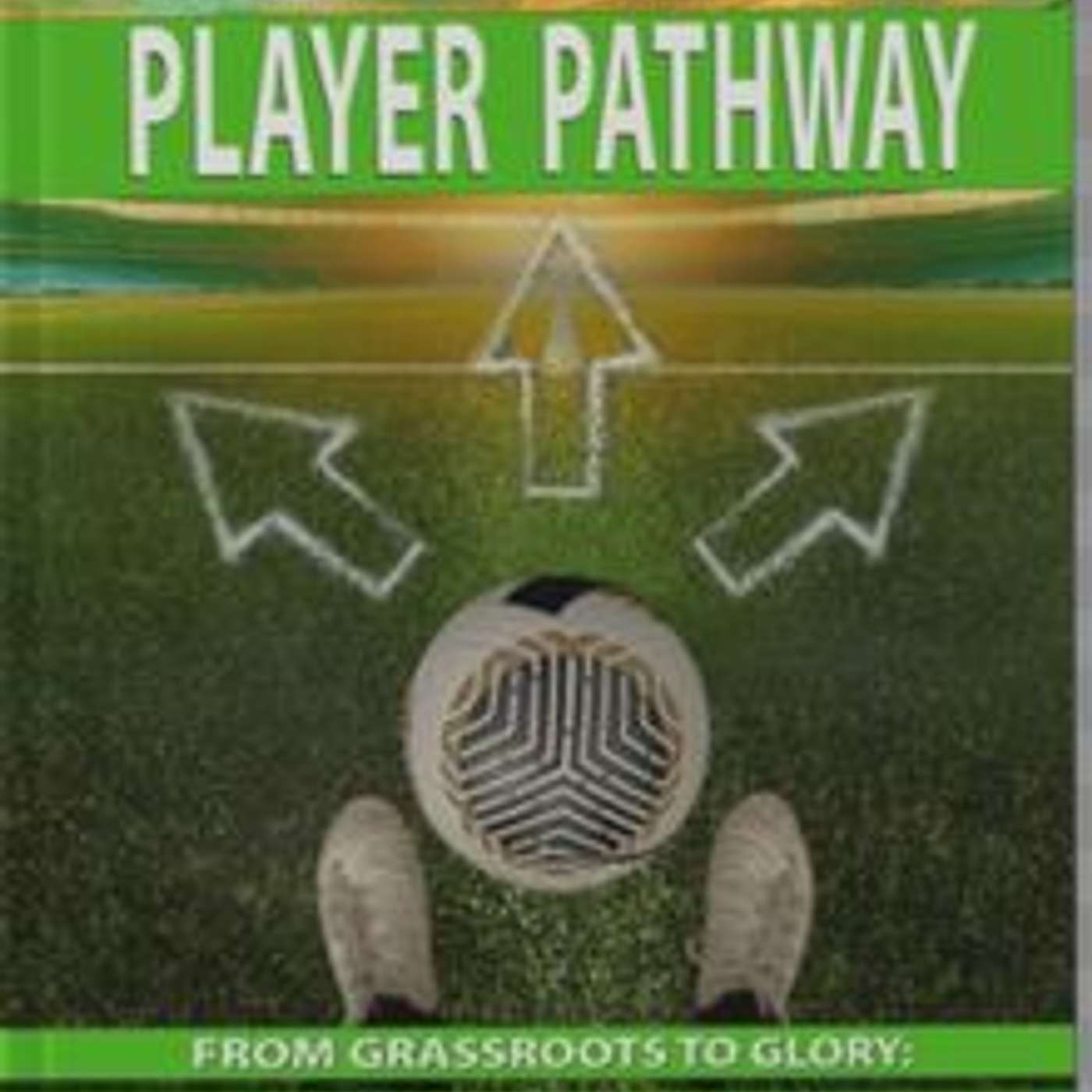 The Professional Player Pathway: From Grassroots to Glory: Navigating the Pathway to Premier League Stardom, author Raymond Wood