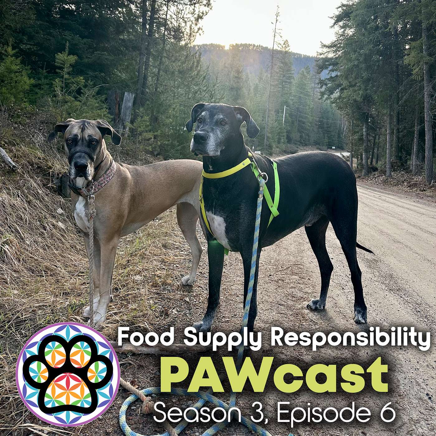 37: Food Supply Responsibility episode artwork