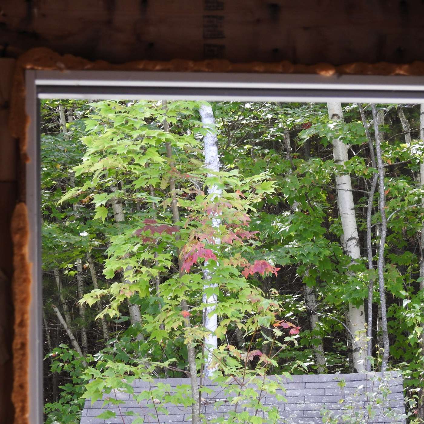 INSIDE LOOKING OUT
