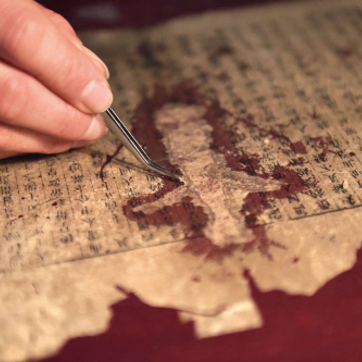 Preserving the Past: The Art and Science of Ancient Book Restoration