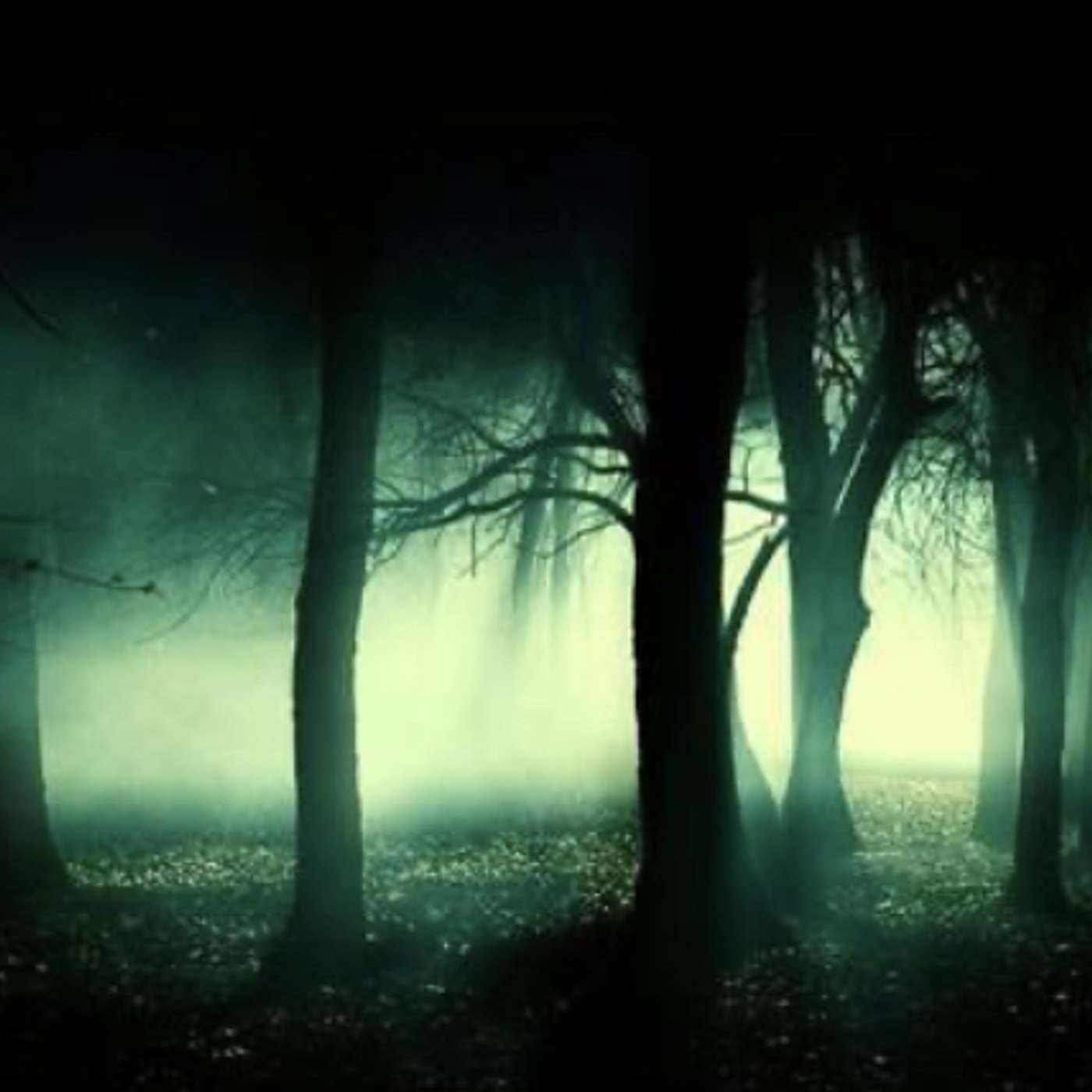 Beyond the Dark Paranormal with Don and Kelly Johnson