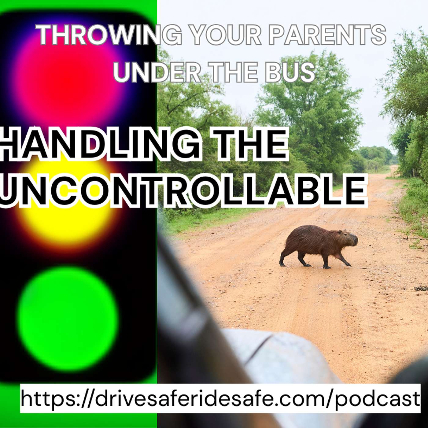 How to Tame an Uncontrollable Situation episode artwork