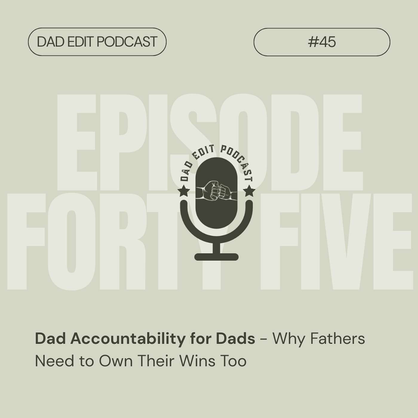Episode 45: Dad Accountability for Dads - Why Fathers Need to Own Their Wins Too episode artwork