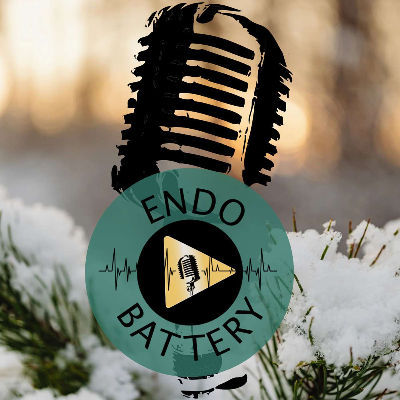 Holiday Reflections: Chronic Illness and the Unseen Family We Choose in Hardship episode artwork