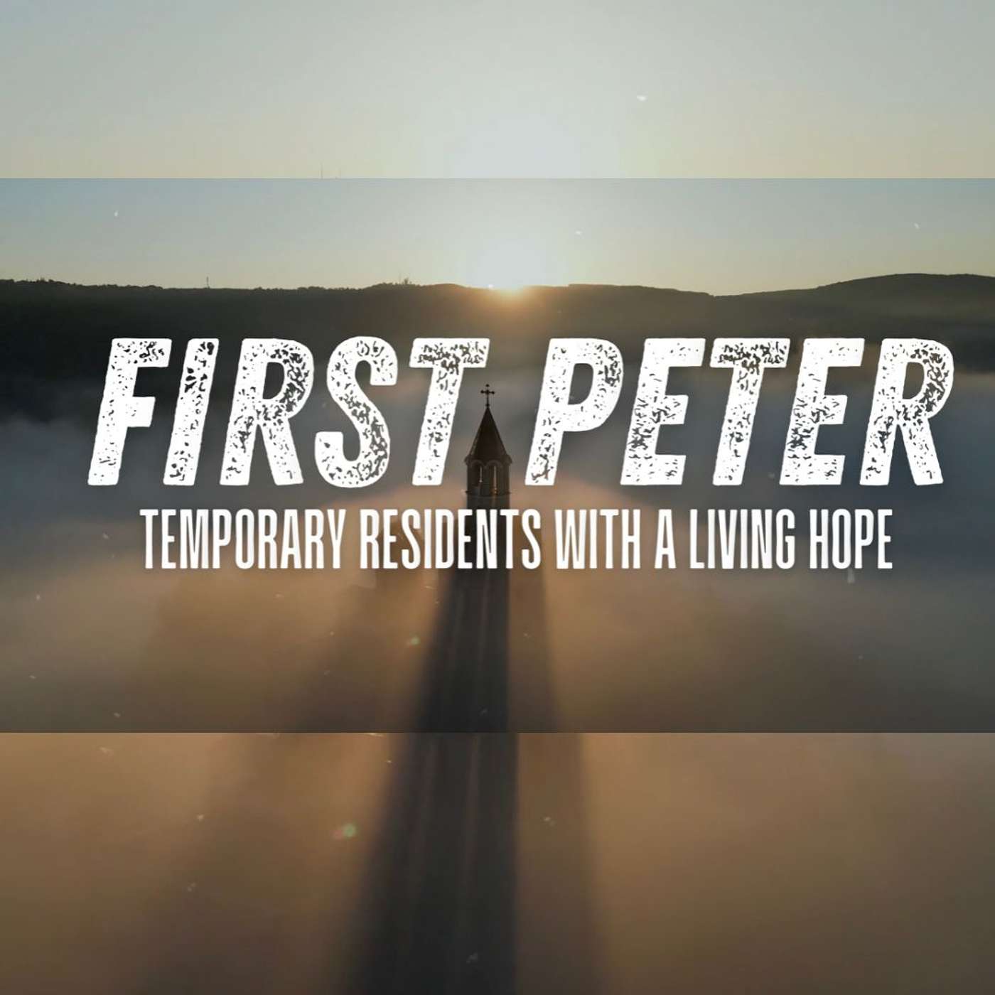 1 Peter 2:18-25