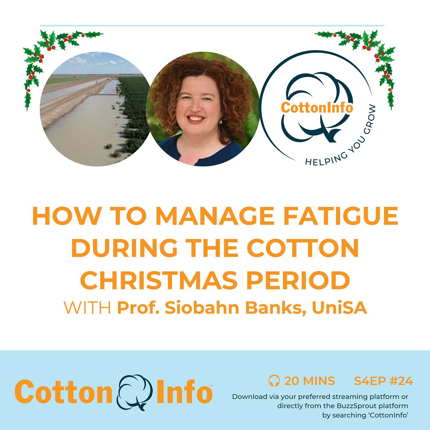 How to manage Christmas and the cotton season: tips from fatigue and sleep expert, Prof. Siobahn Banks