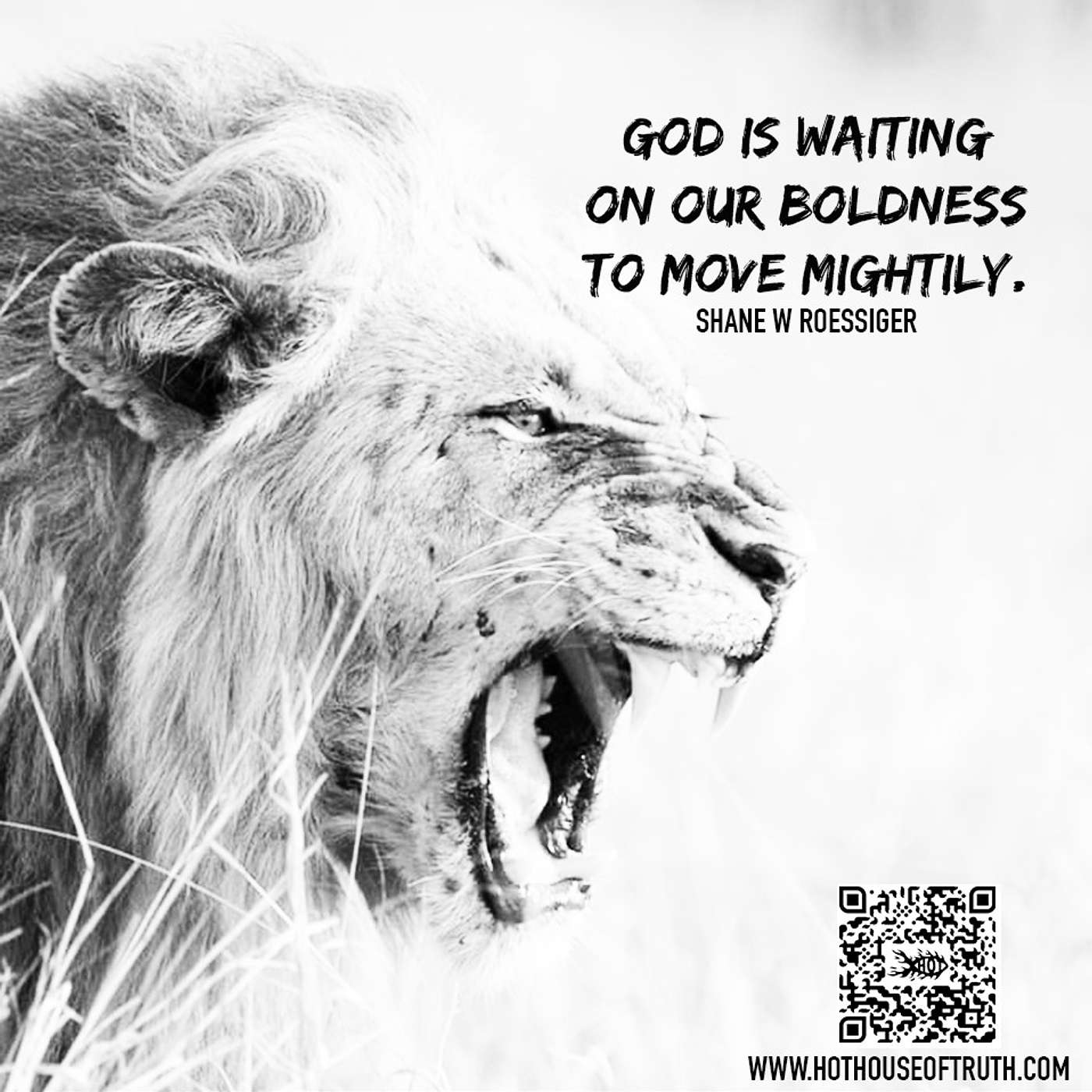 Bold as a Lion By Shane W Roessiger