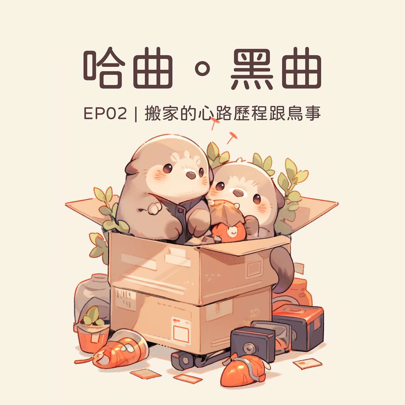 哈曲黑曲