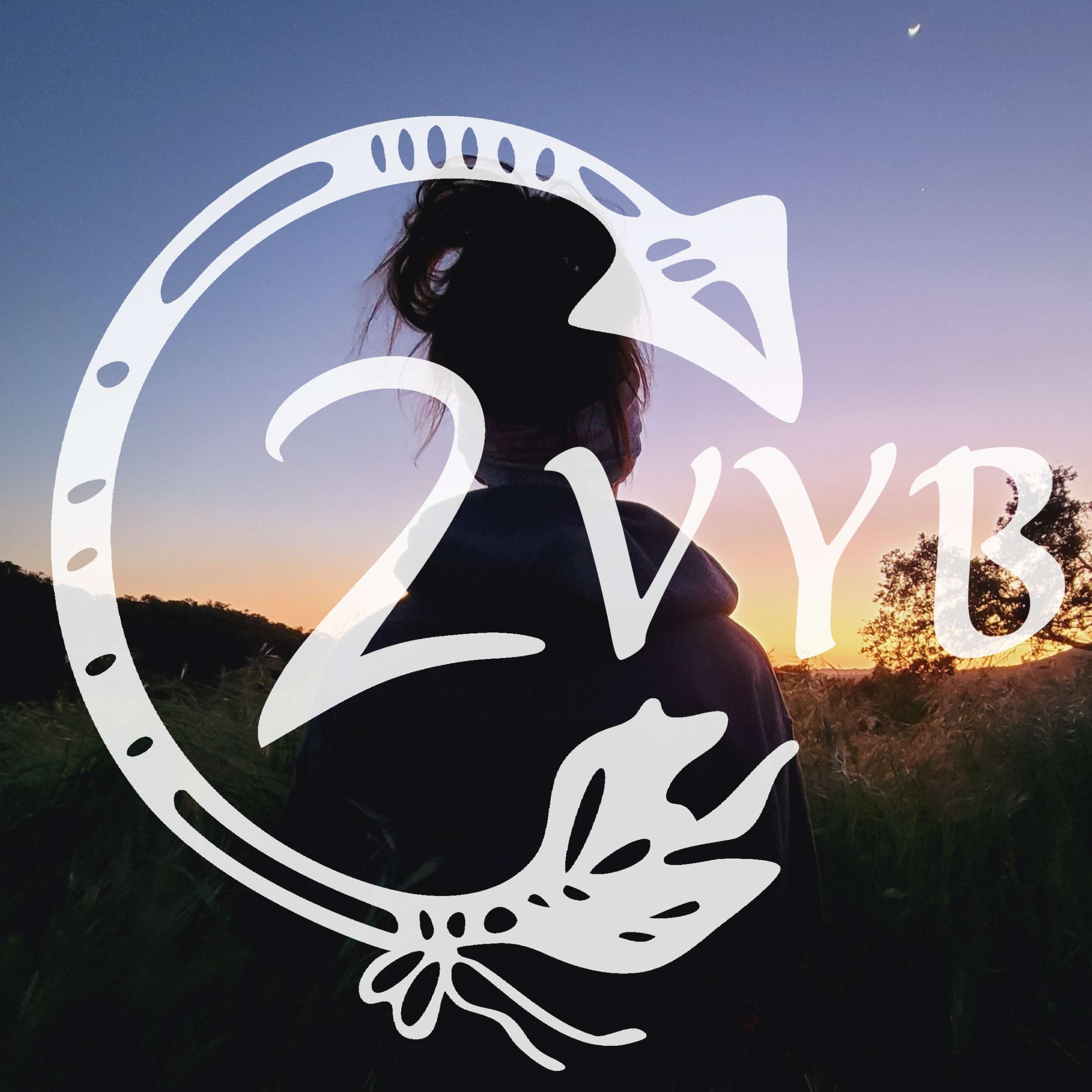 Find Your Way2Vyb
