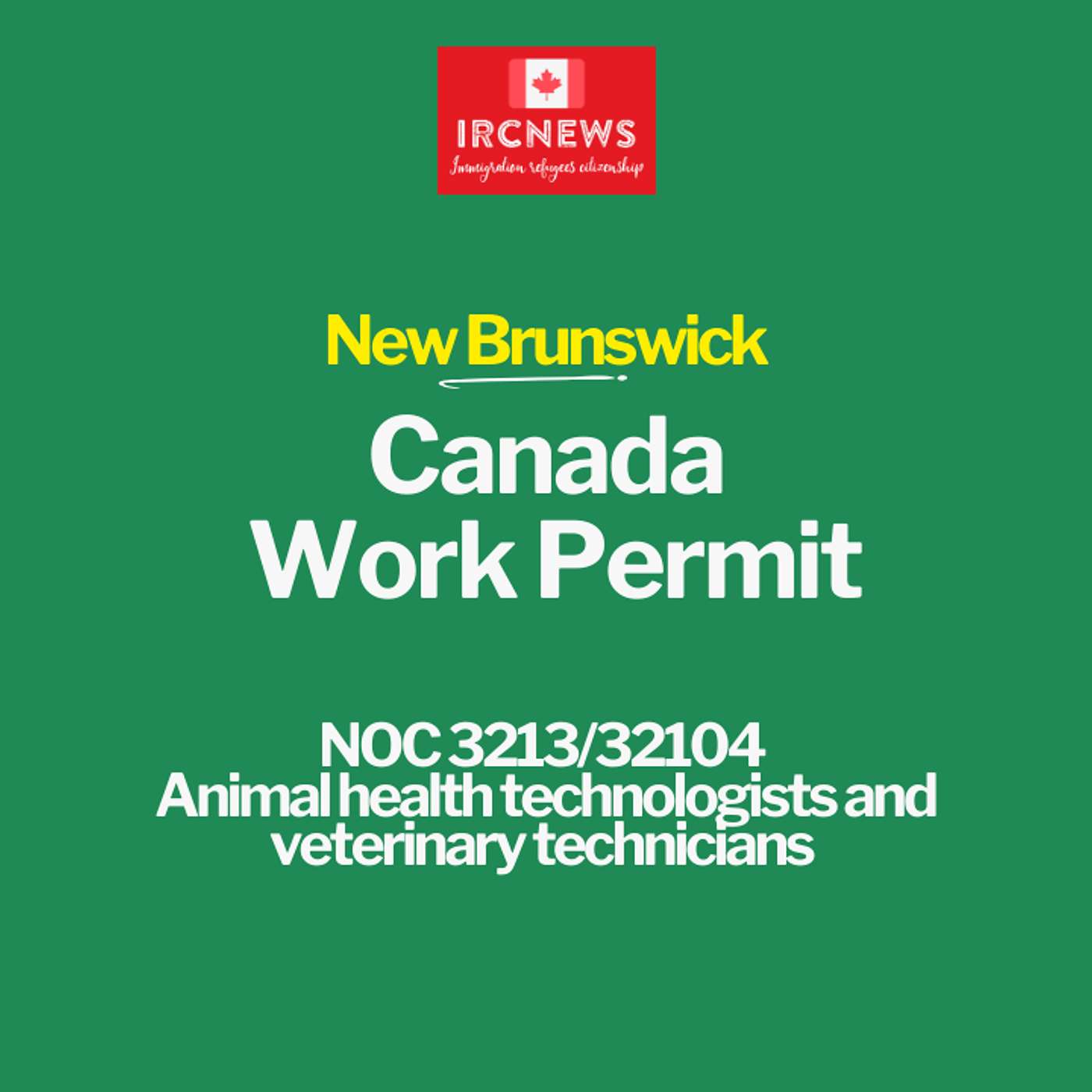 Canada Immigration New Brunswick NOC 3213/32104 Animal health technologists and veterinary technicians Work Permits episode artwork